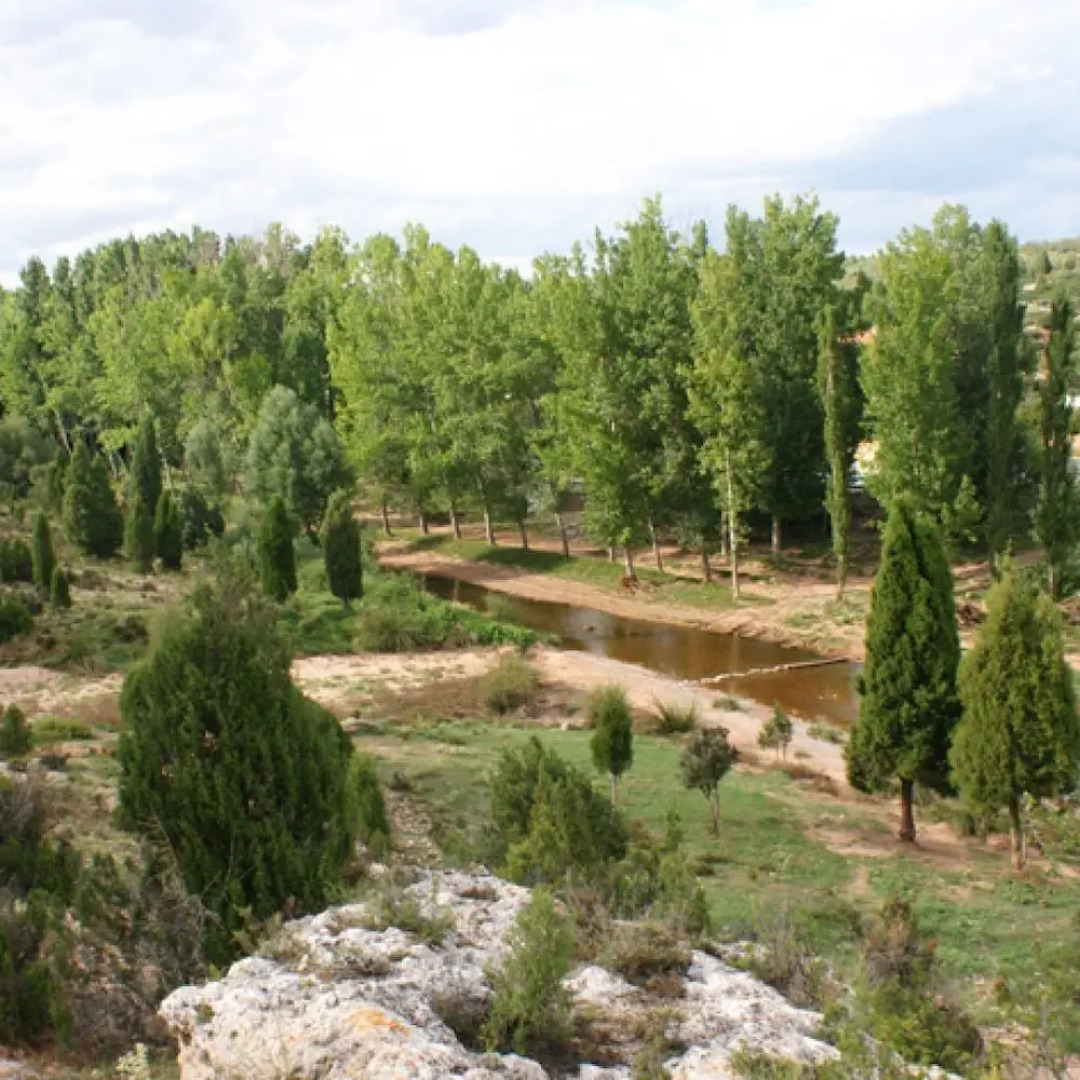 Hotel Masia el Molinete