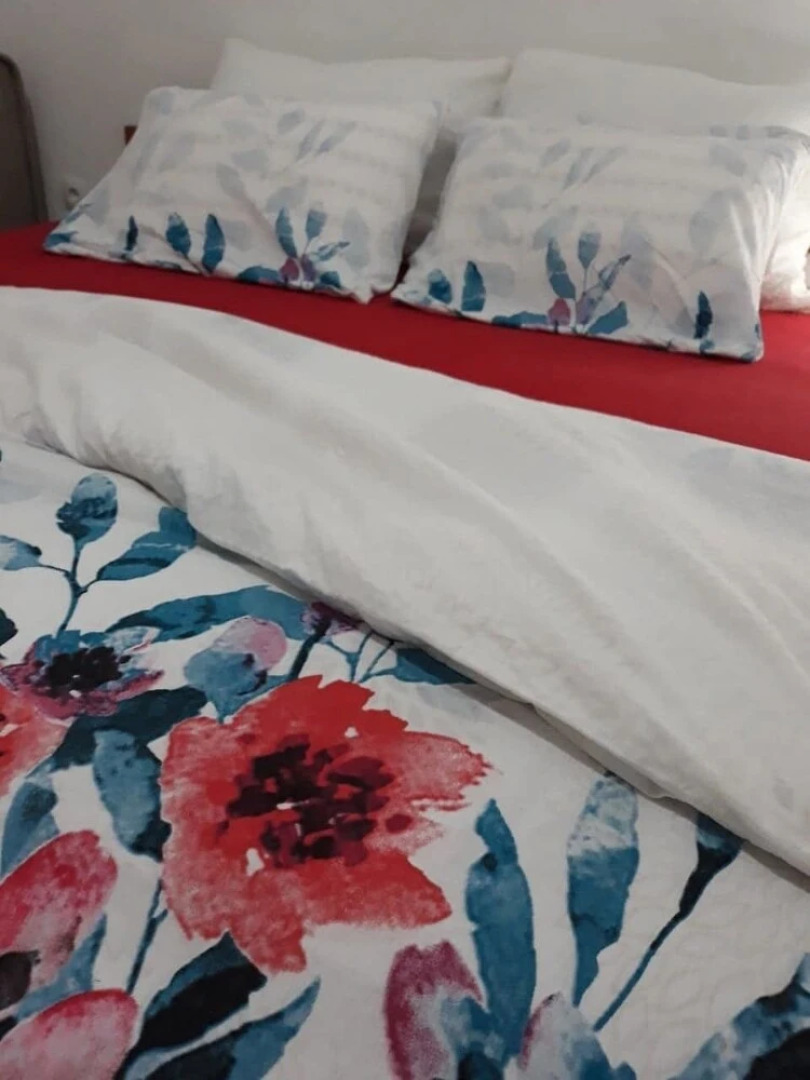 Villa Zigana Apartments