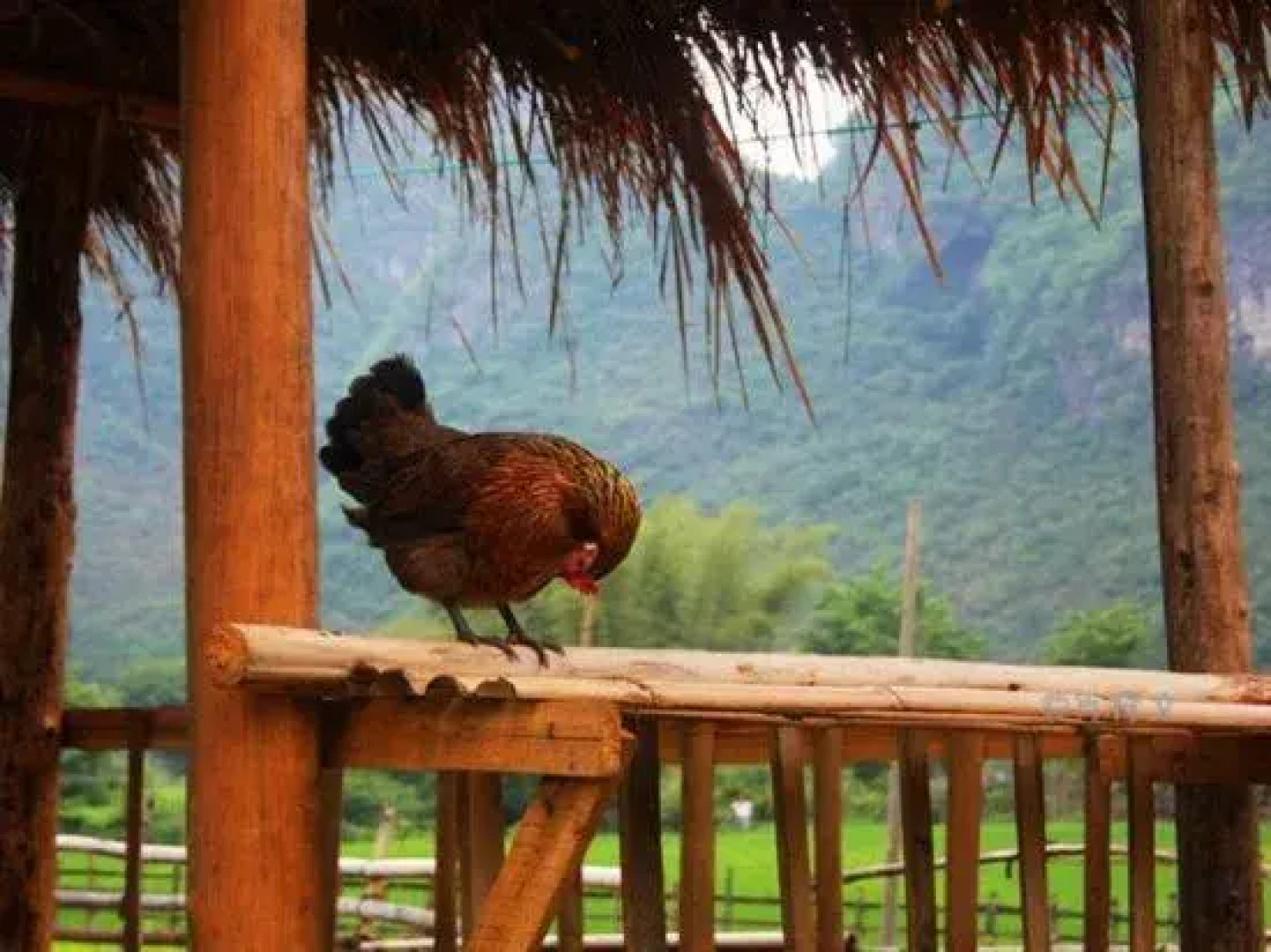 Shiwai Taoyuan Hotel