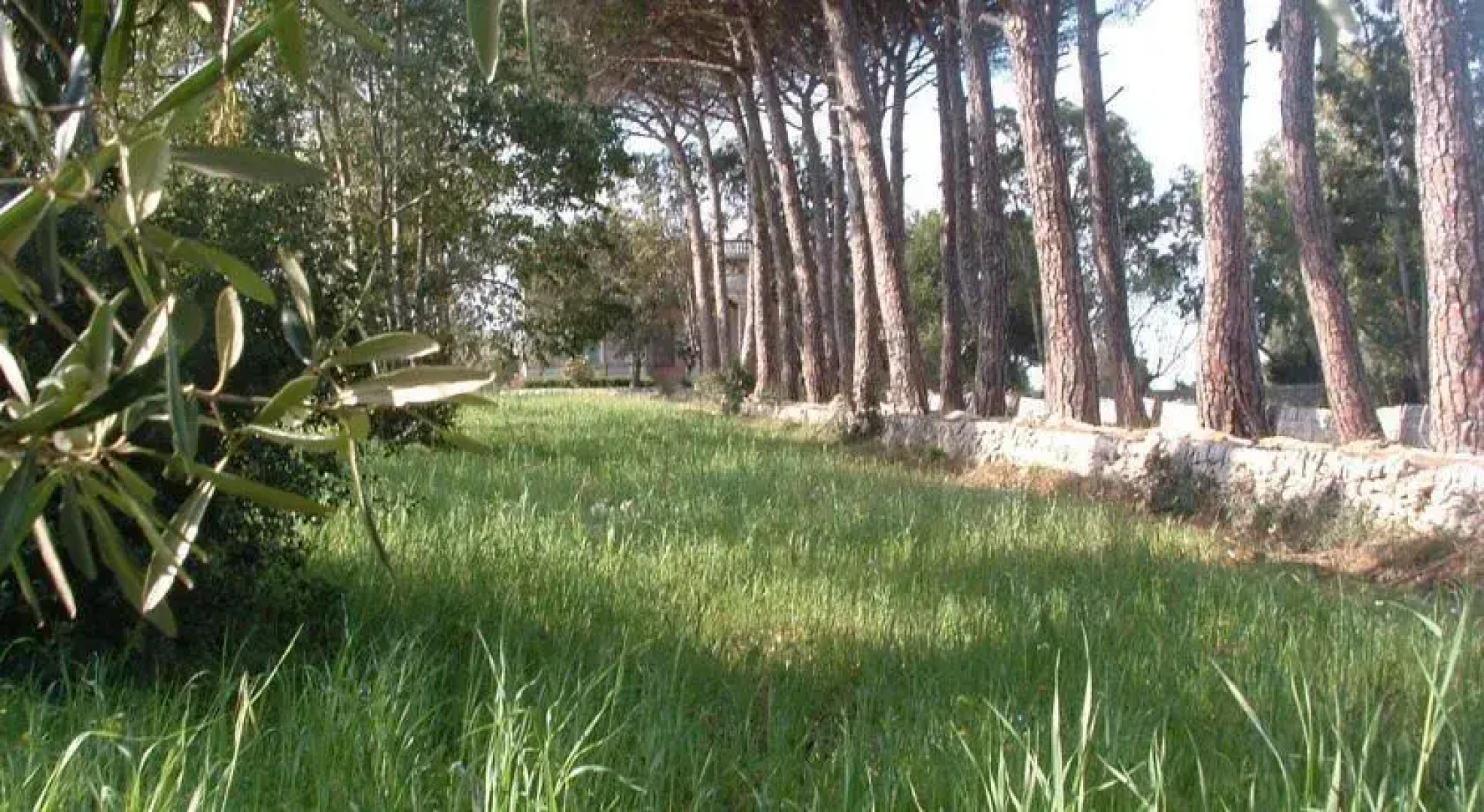 Masseria Fumarola Ostuni