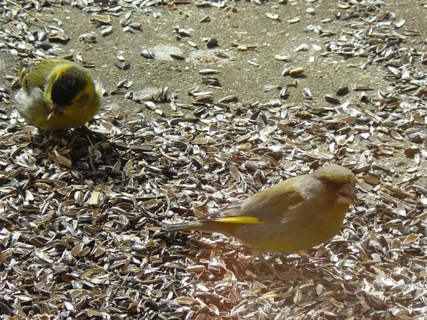 HummelCasa Ferienhaus Bayreuth