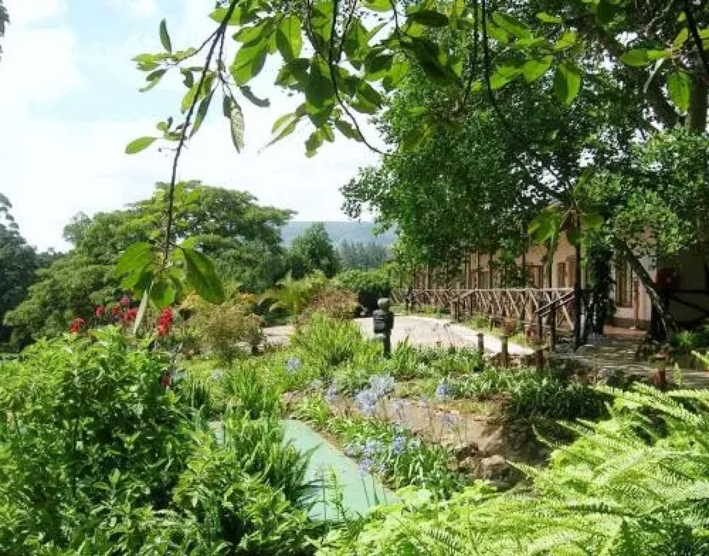 Mvubu Falls Lodge
