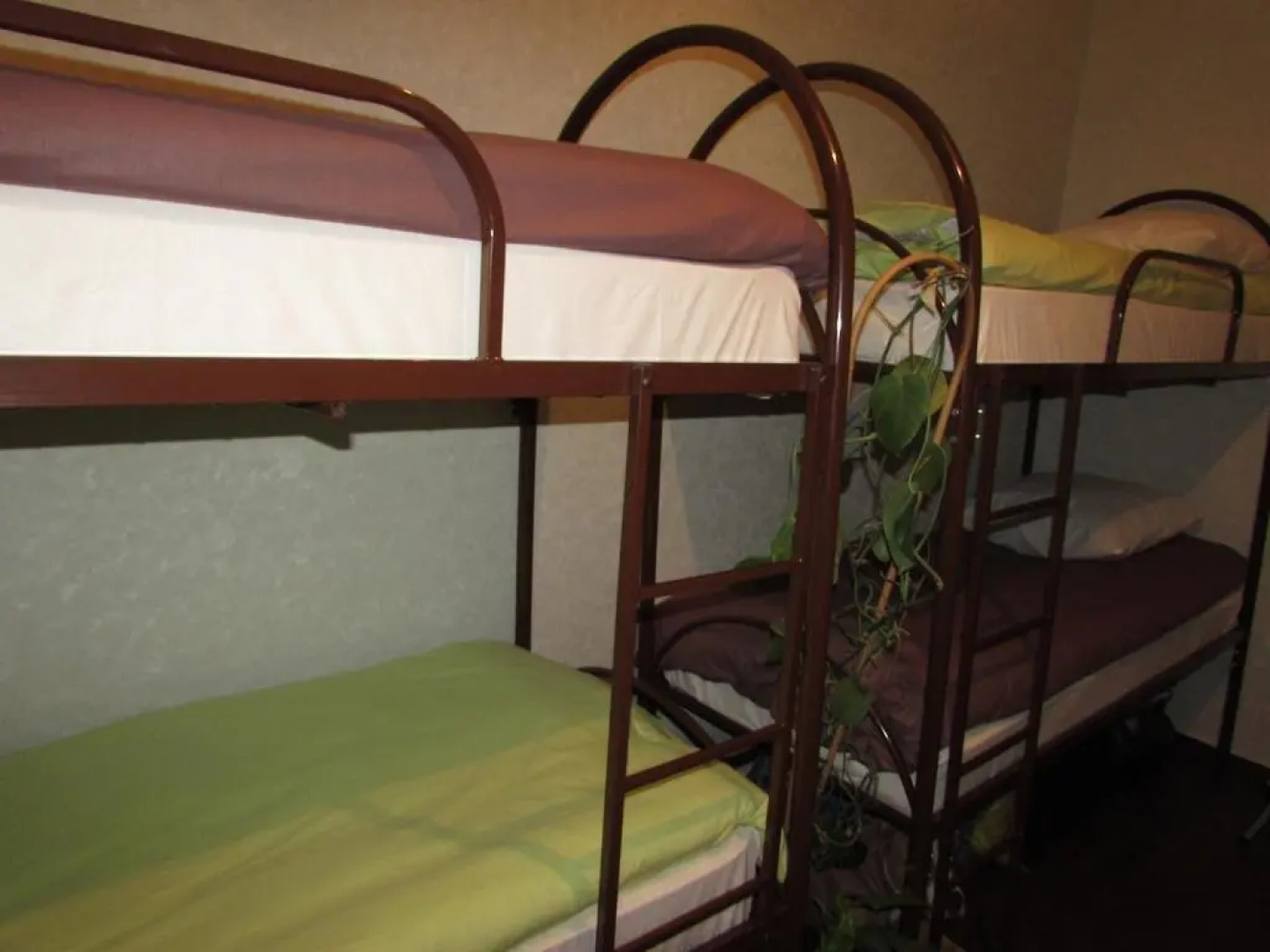 Hostel Izumrudnyy