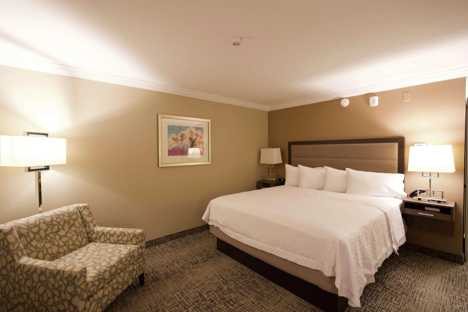 Hampton Inn & Suites Jackson-Ridgeland