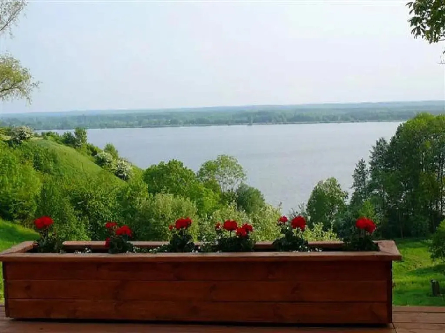 Pod Zachrypniętym Kogutem