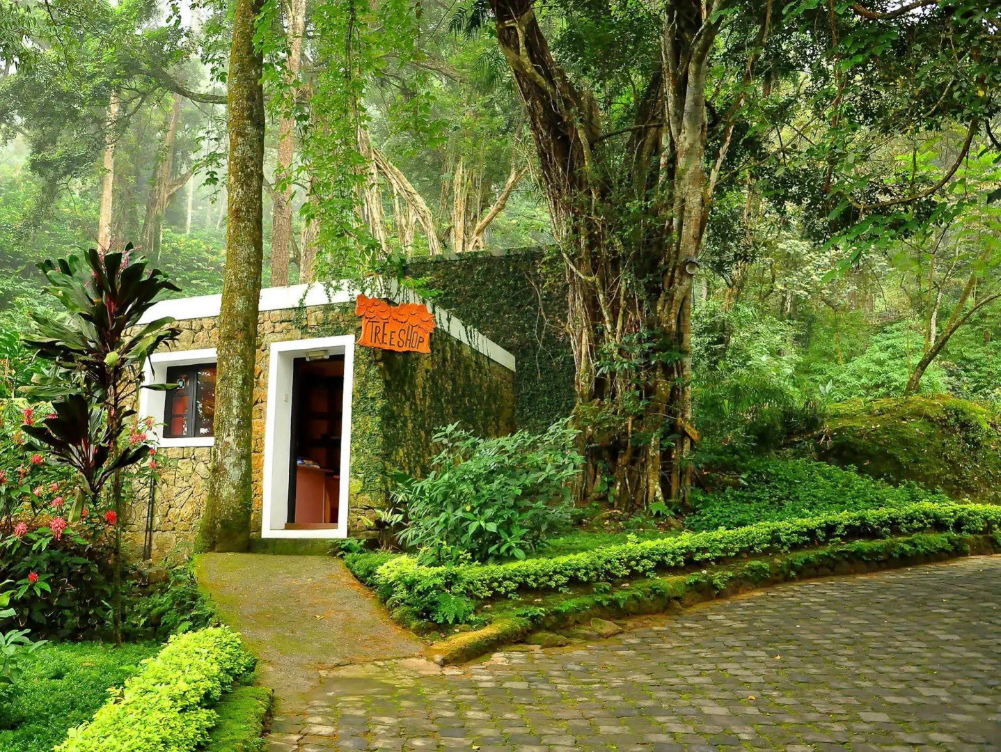 The Tall Trees Munnar
