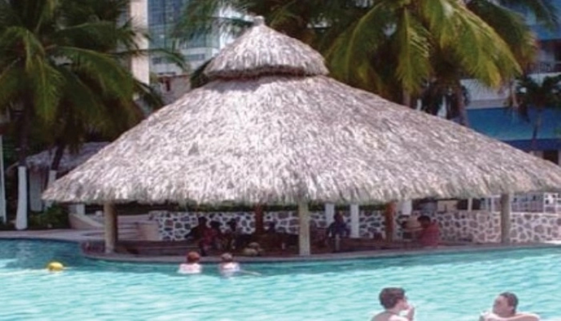 La Palapa