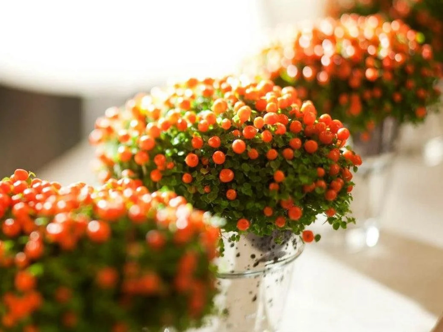 Отель Eiffel Turenne