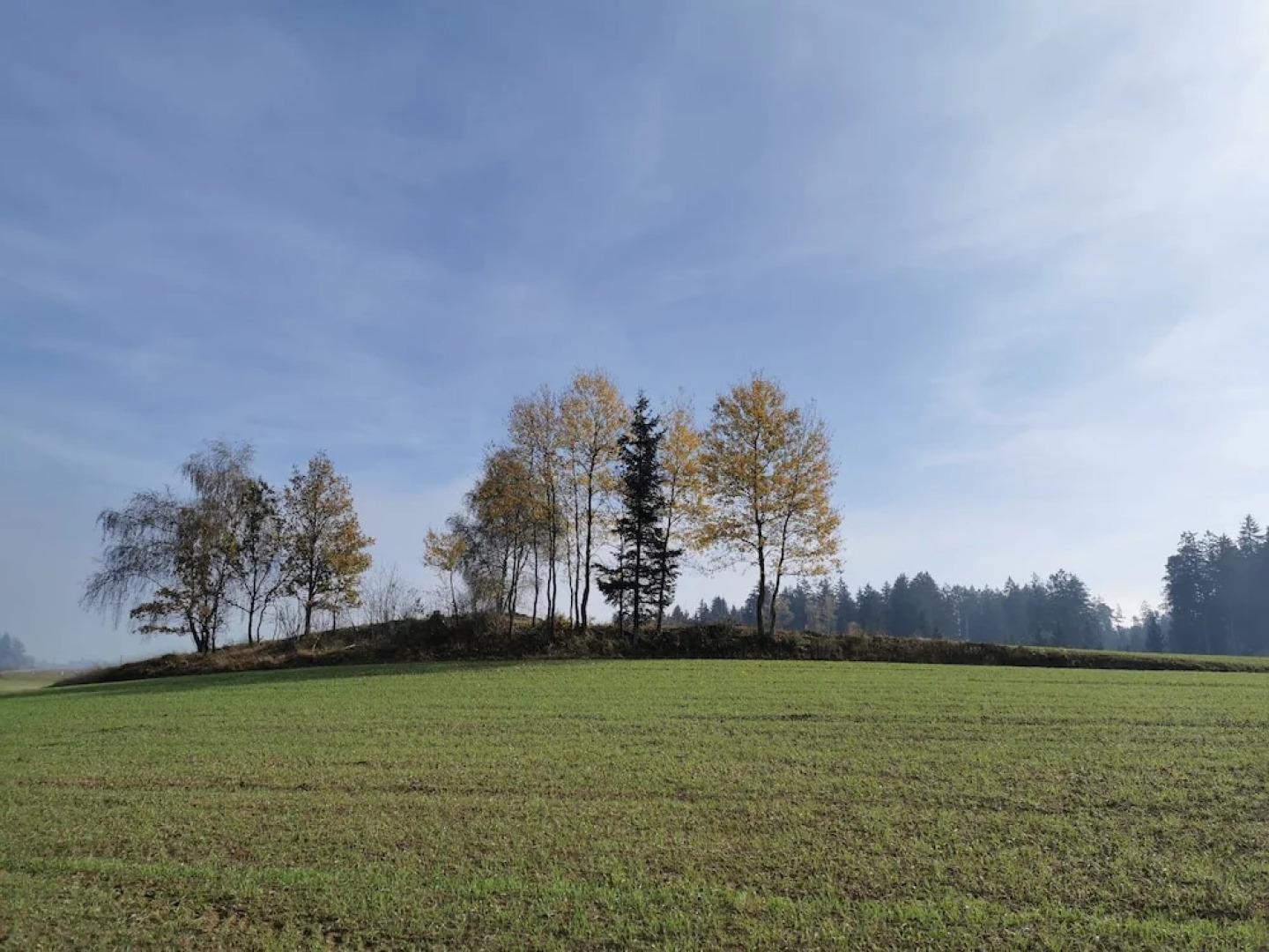 Bio-Bauernhof Hipp-Bruckner