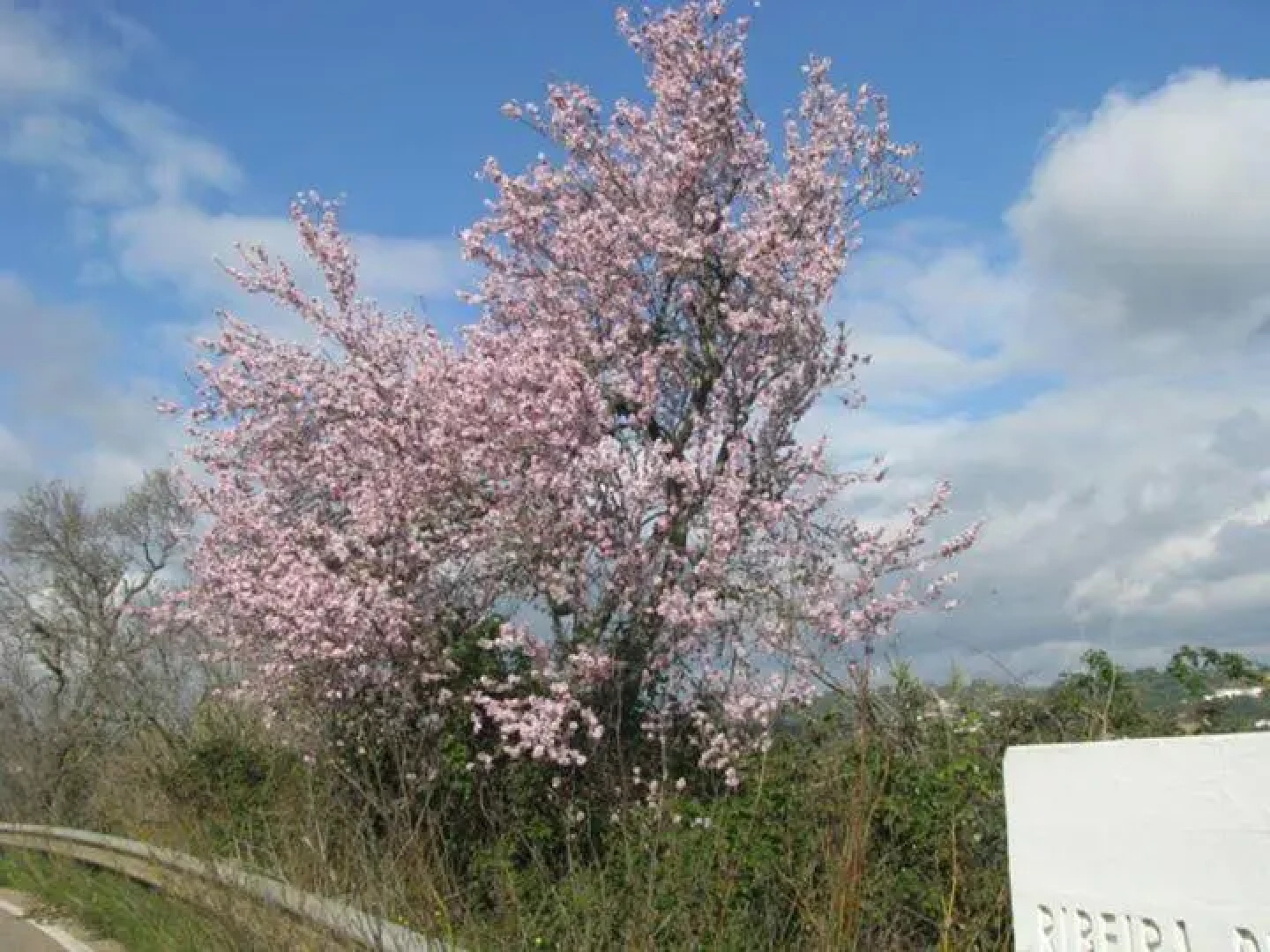 Vila Sodré Guest House