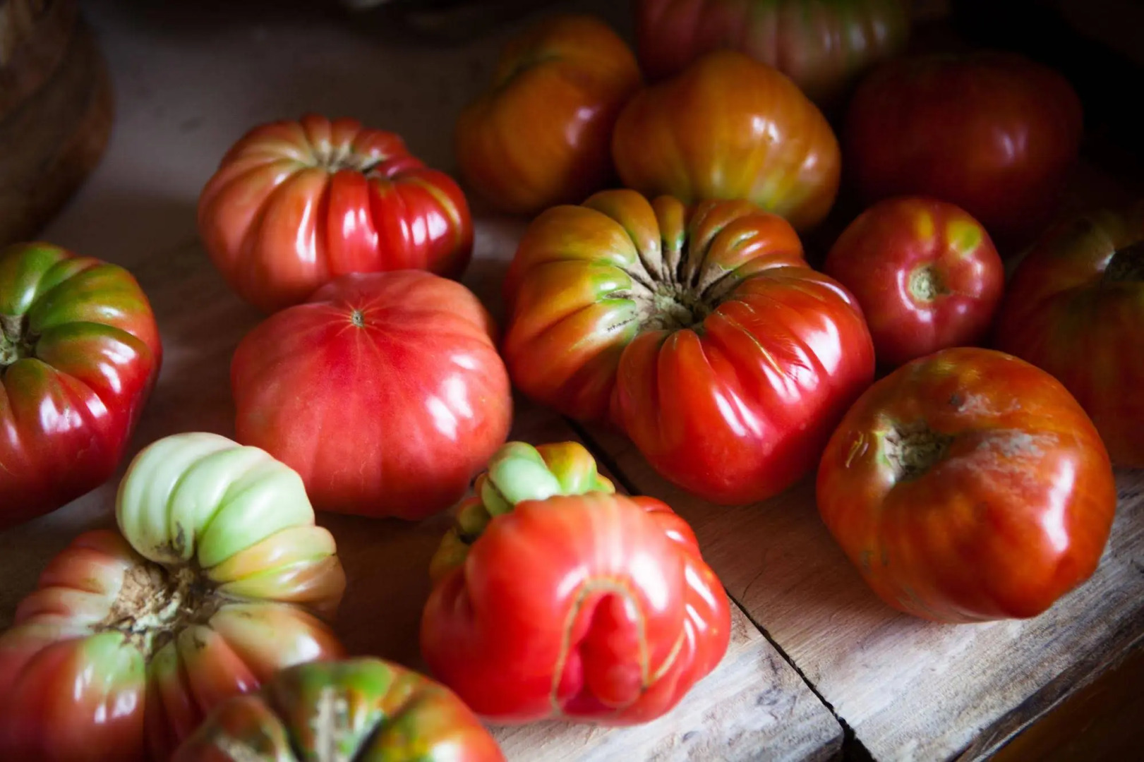 Montanema Handmade Village