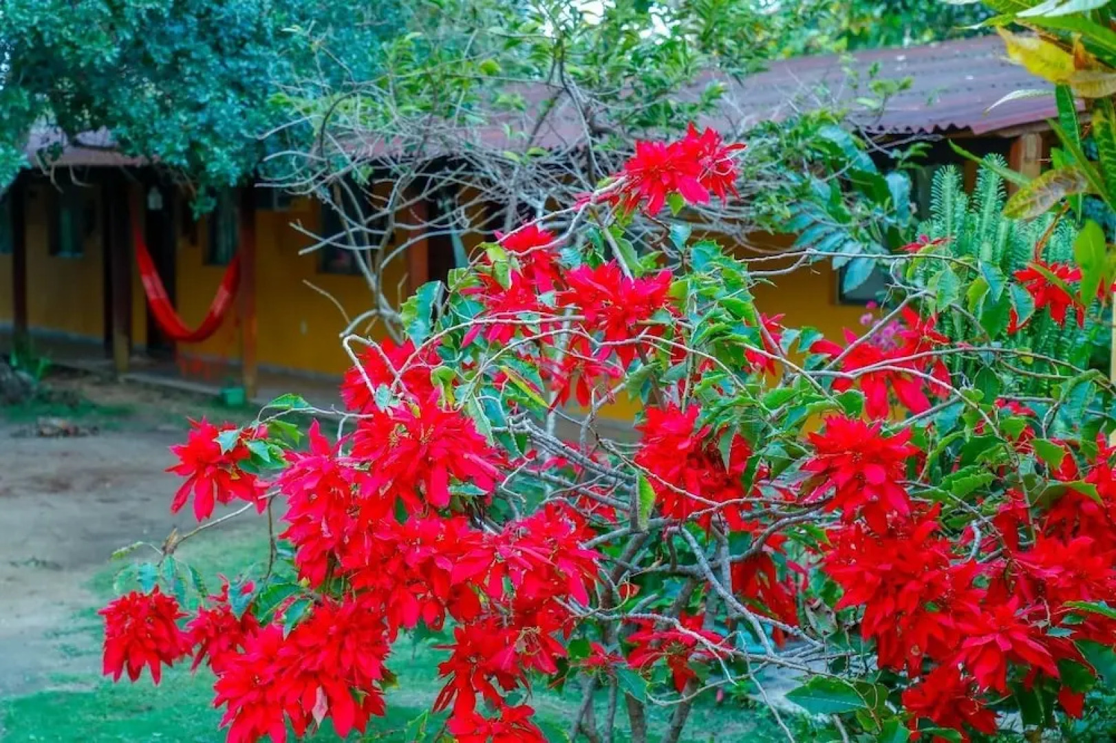 Pousada Pouso da Pardoca