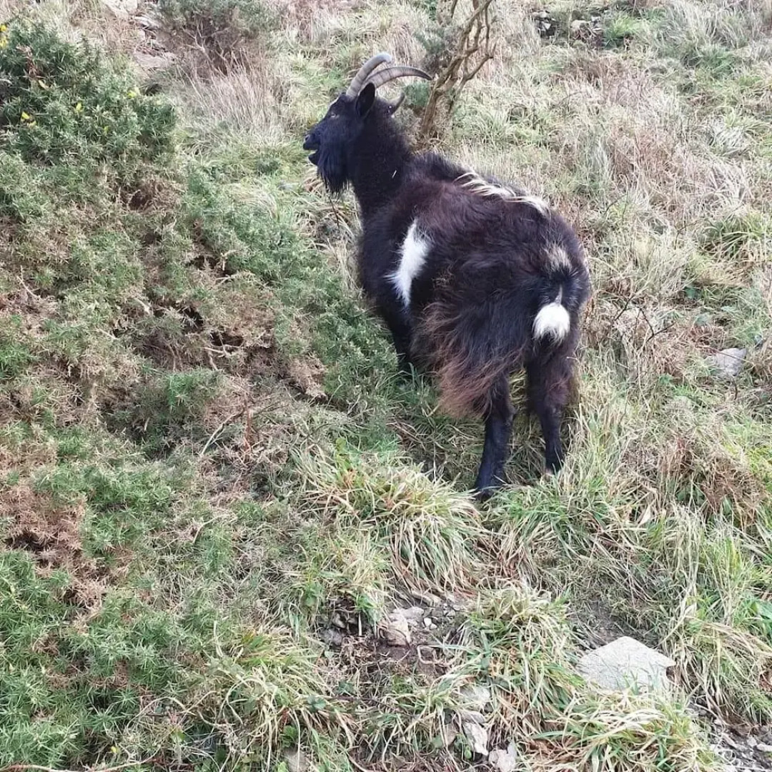 St Vincent Guest House