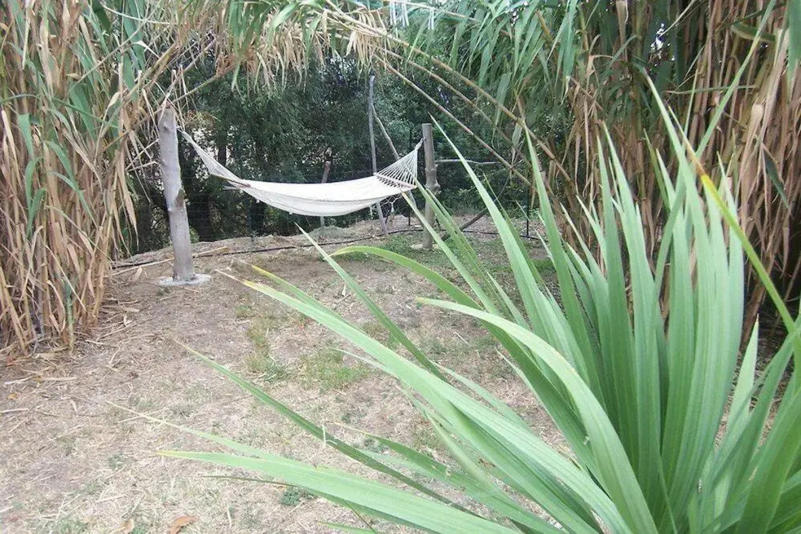 Santi Expertimmo Casanova