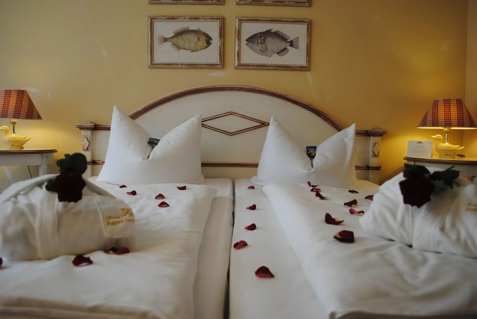 Rugard Thermal Strandhotel