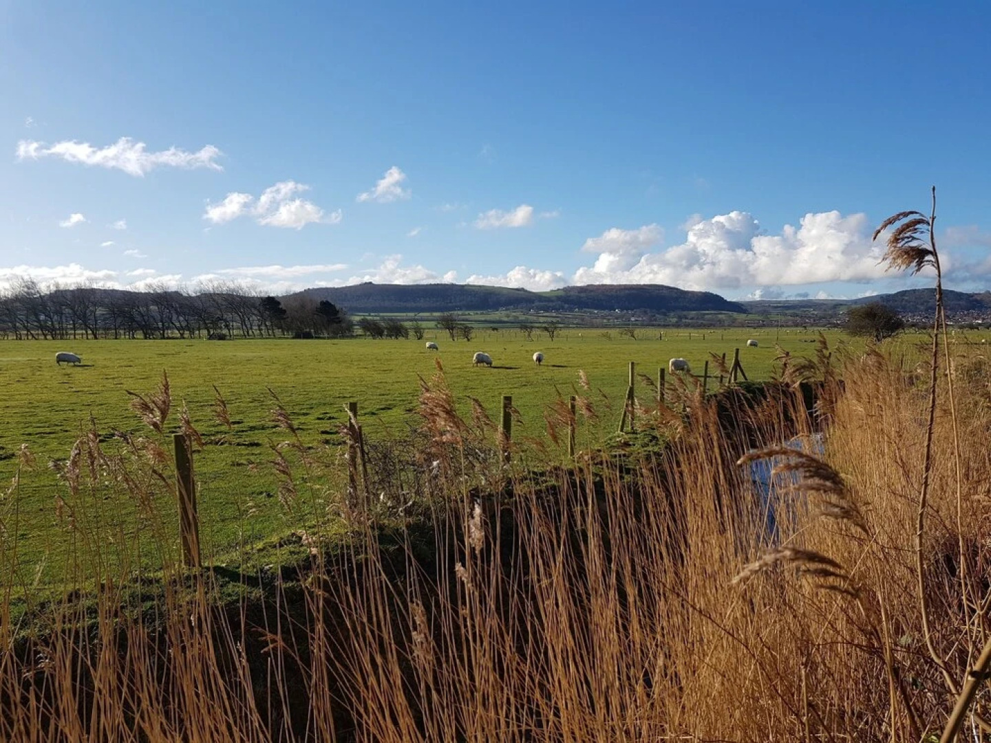 8 Berth Pet Friendly New Caravan in Towyn, Wales