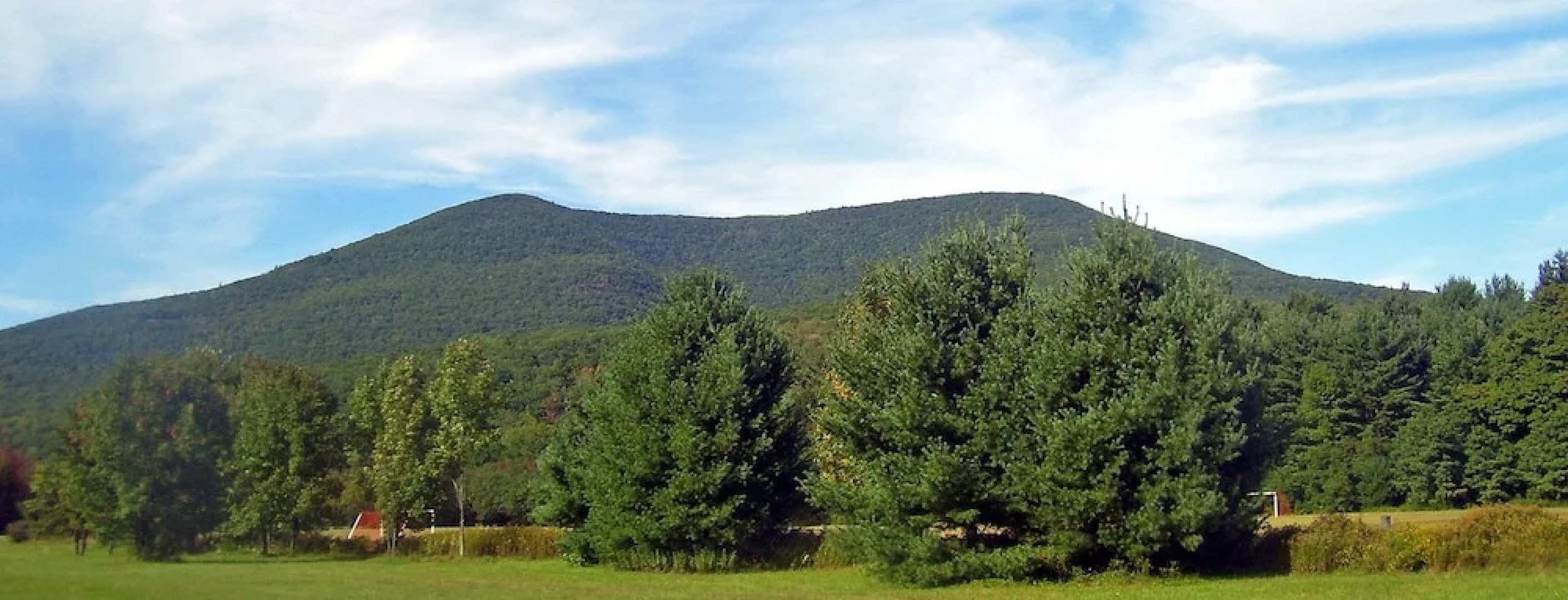 The Emerson Resort & Spa