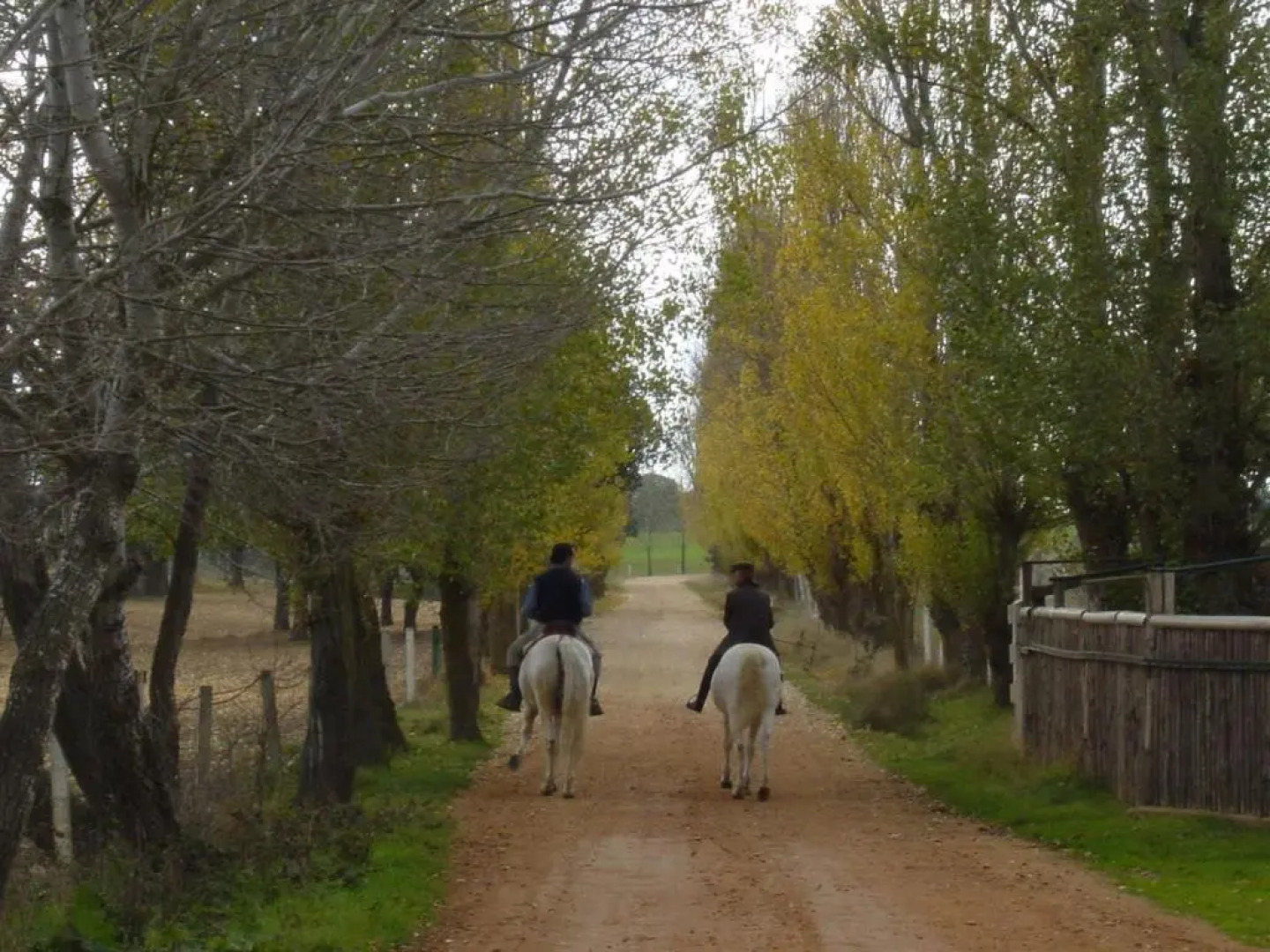 Casa Rural La Torrecilla
