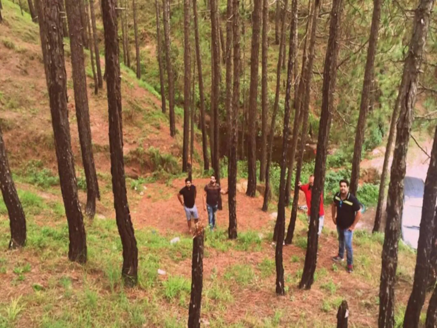 Pahadi House - Kanatal