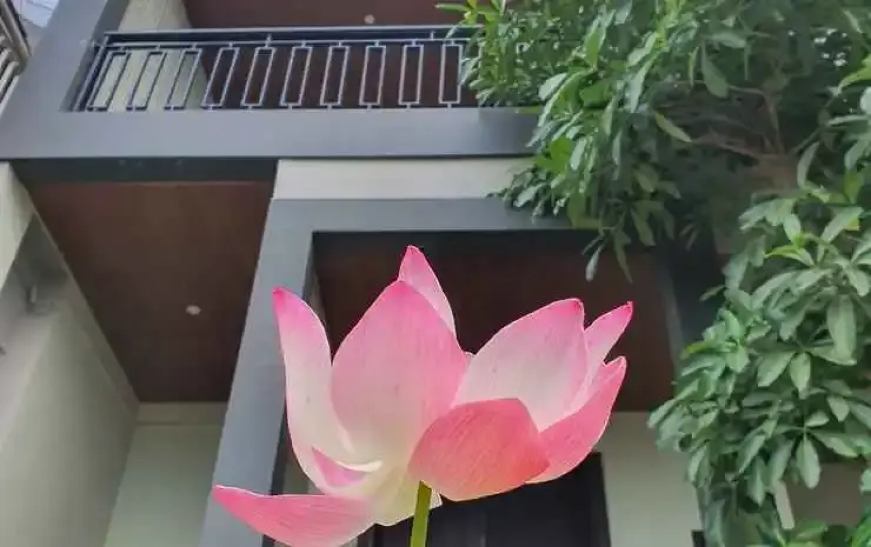 Villa Kencana Apel D5