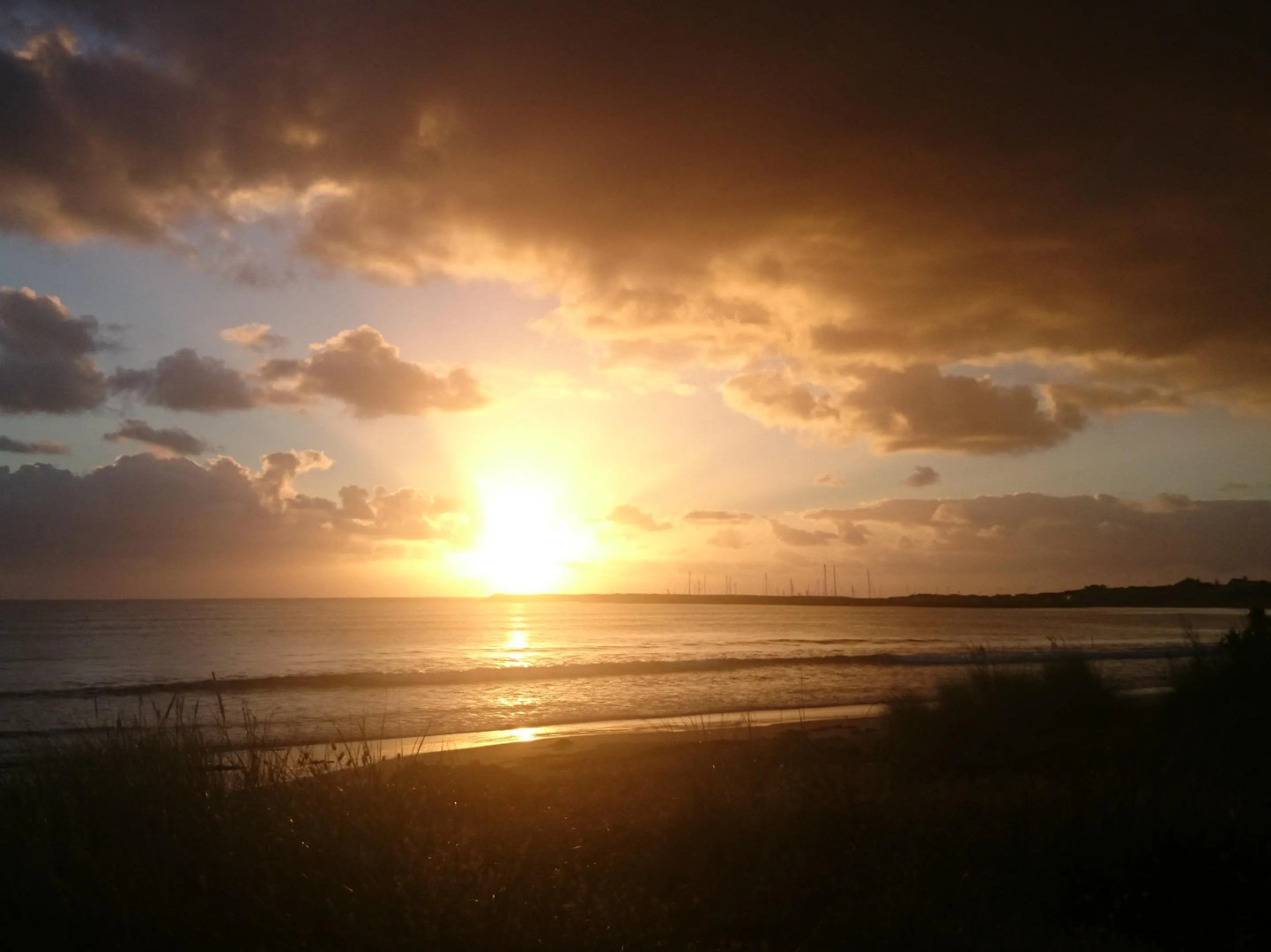 The Dolphin Apartments