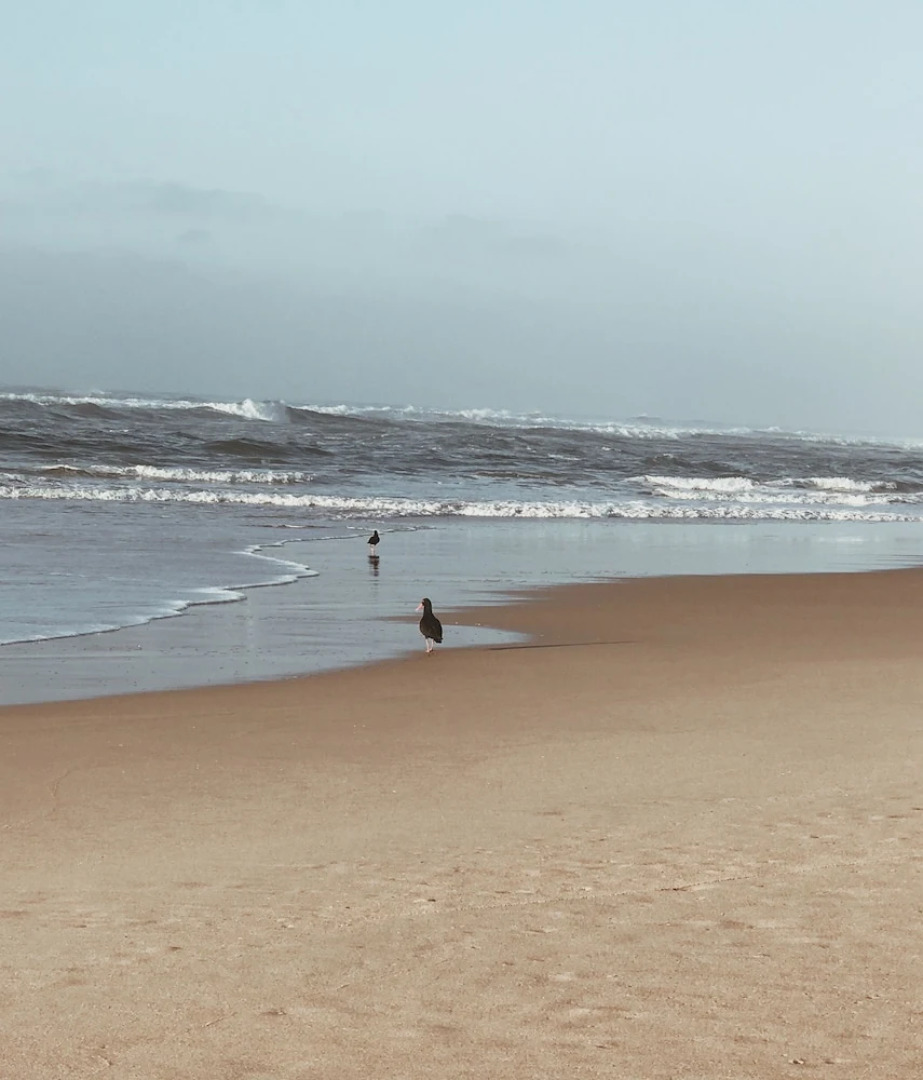 Clouds End Boutique Guest House & Spa