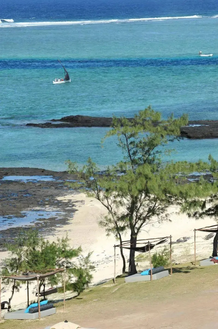 Constance Tekoma. Rodrigues