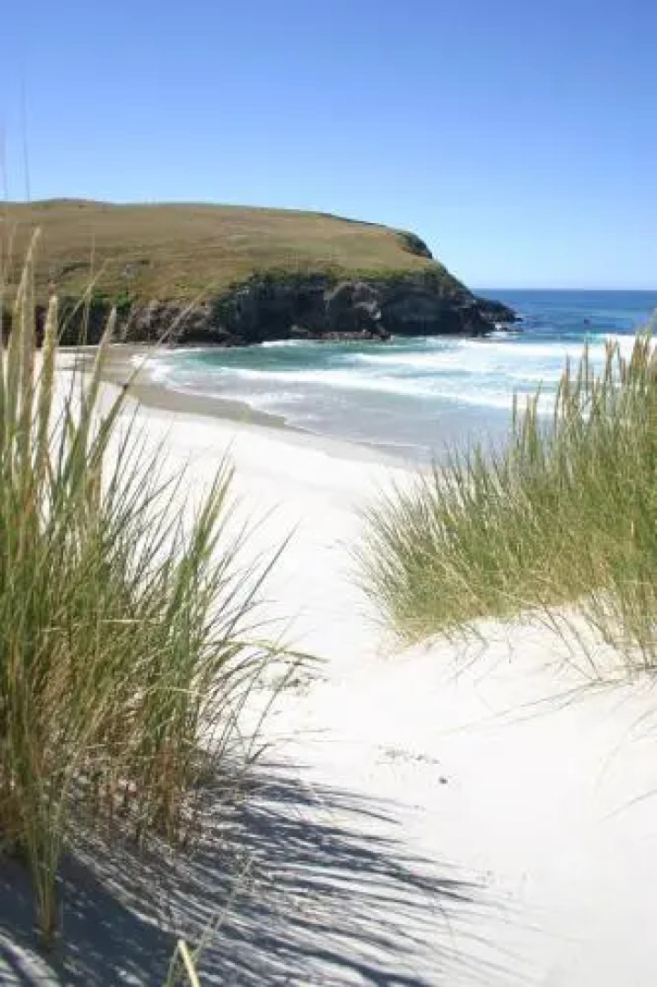 Arts Content Bed and Breakfast