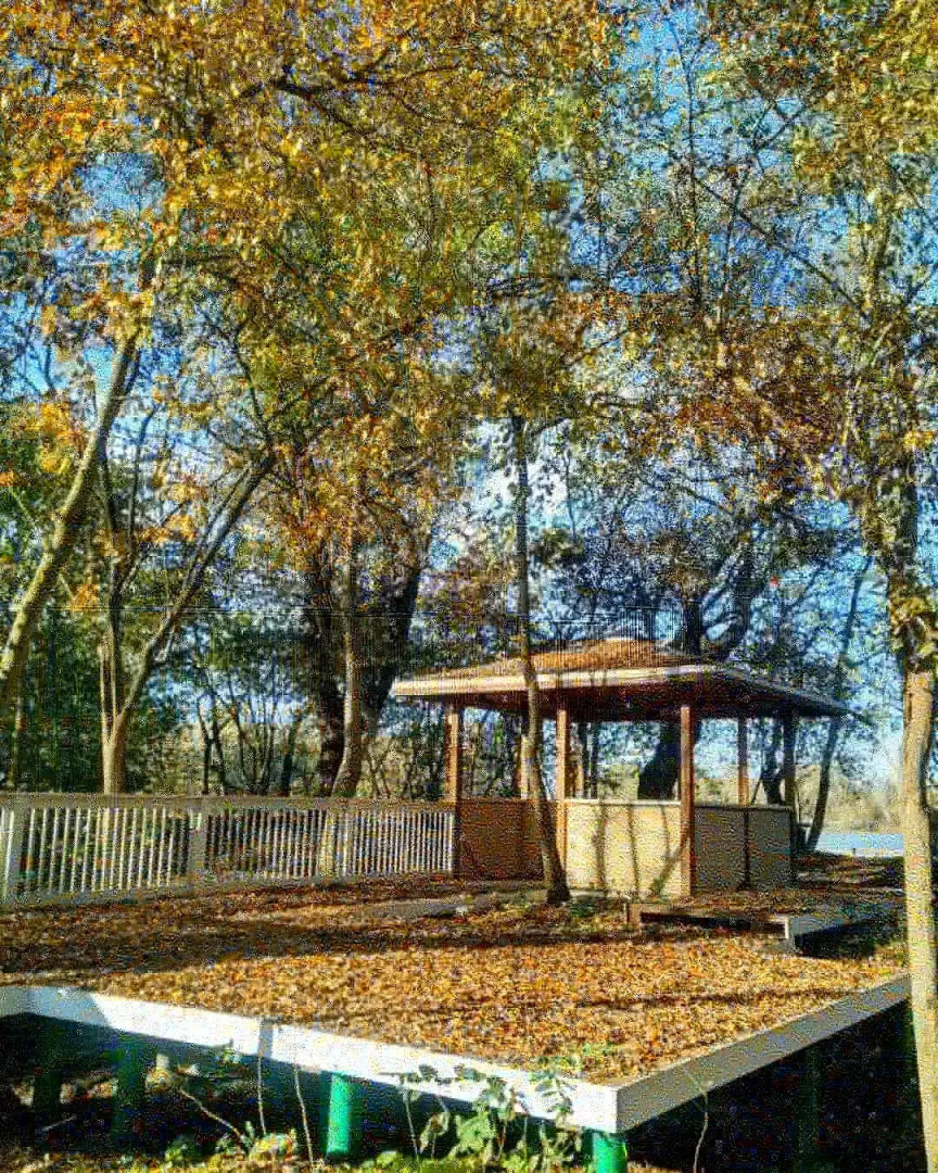 Творческий глэмпинг Скворечник