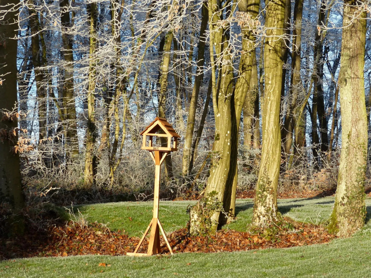 New House on the Edge of a Large Forest, Large Garden,very Quiet, Beautiful Area