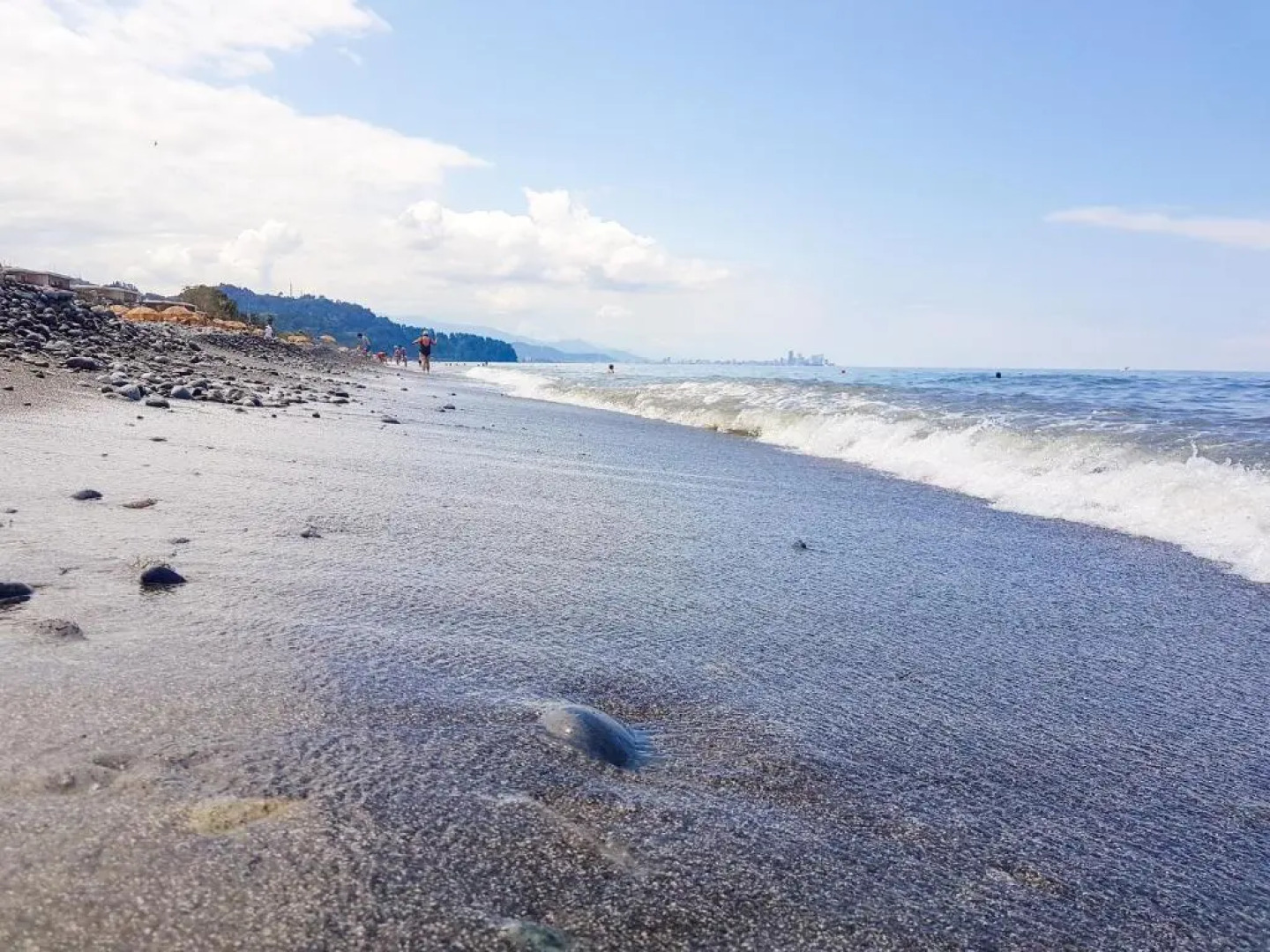 Luxury Dreamland Oasis Apartments