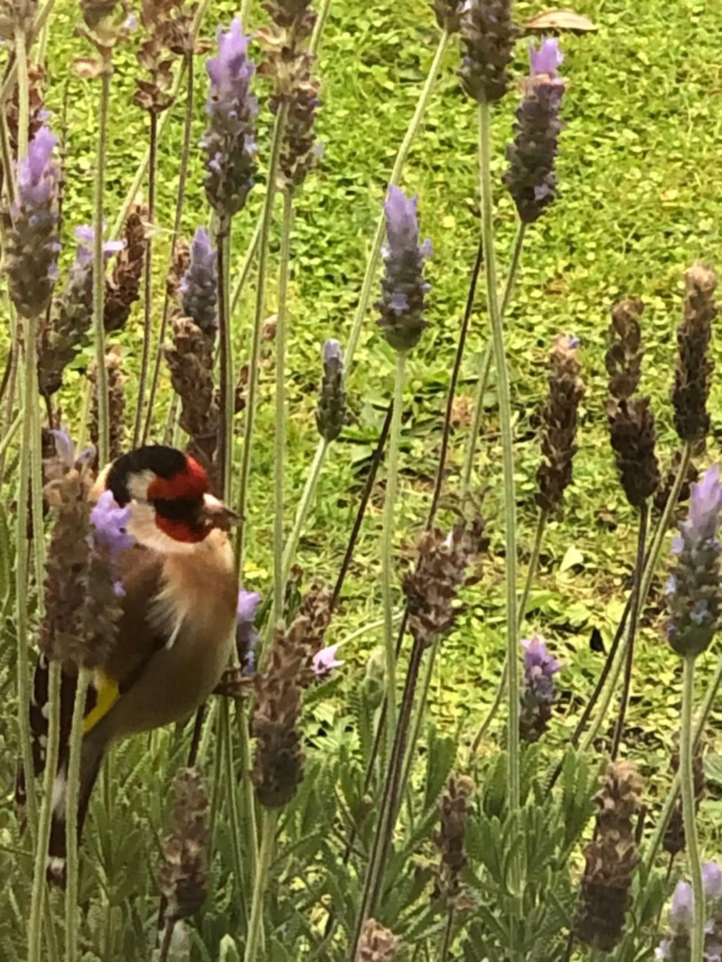 @Taradise-Opunake - eco-friendly Coastal hideaway