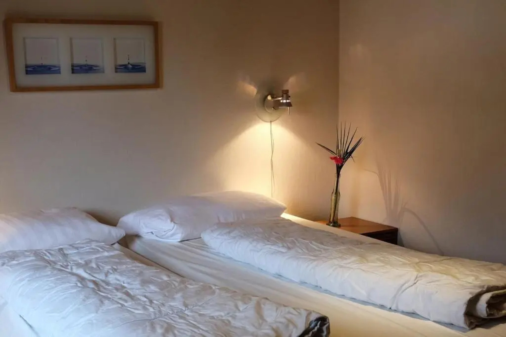 Holiday park- Robinson