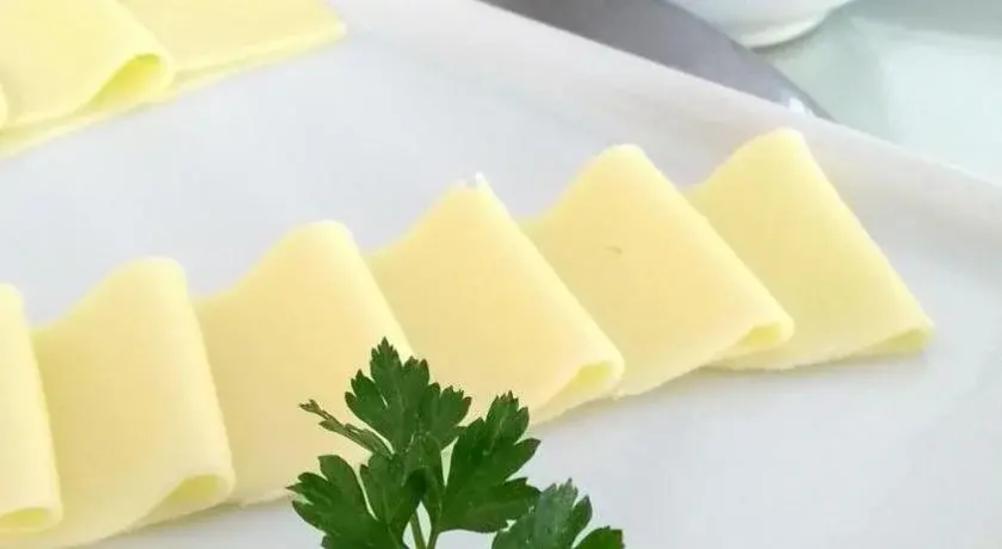 Vision Hotel Boutique