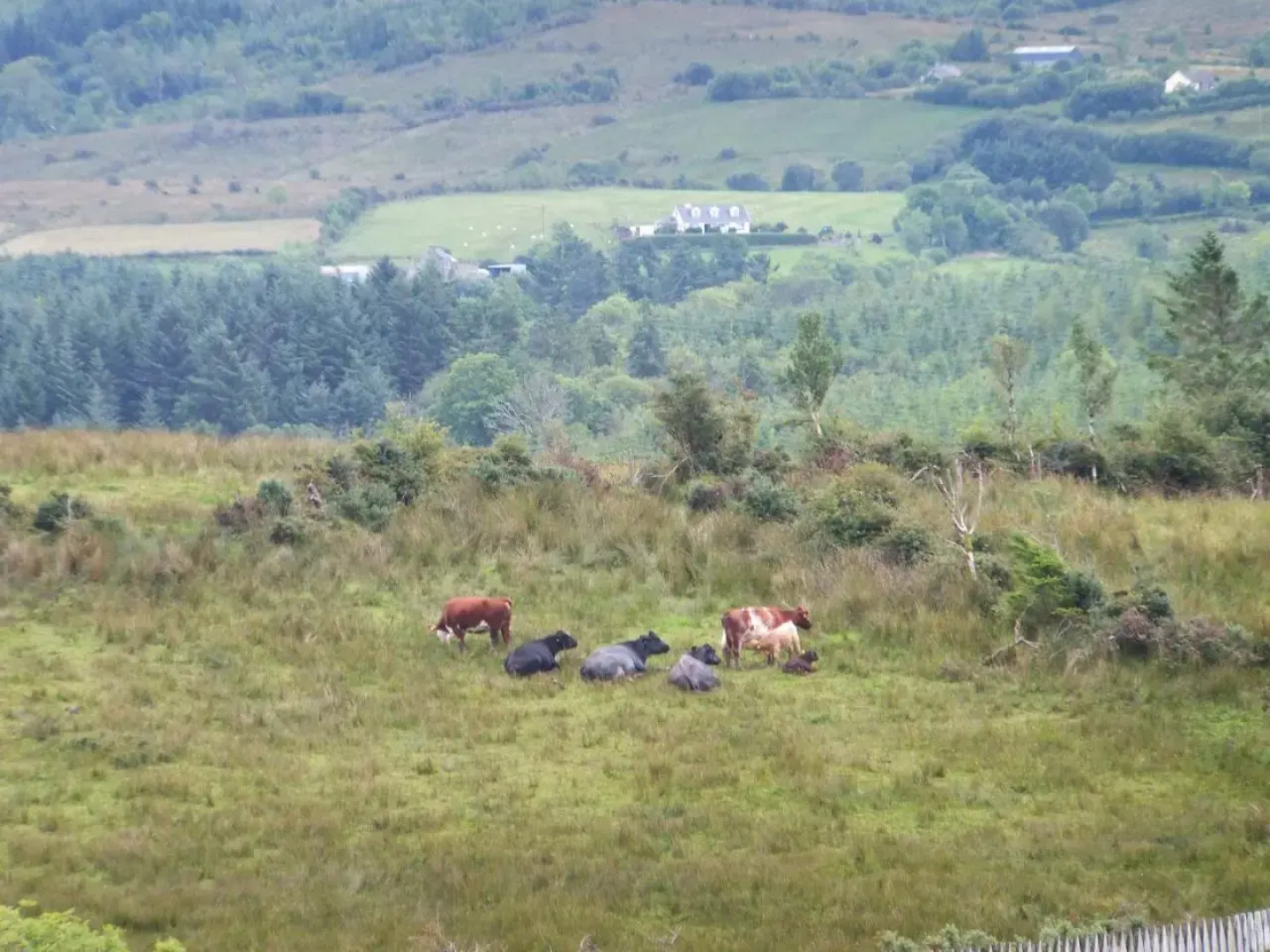 Drumkeeran Holiday Homes