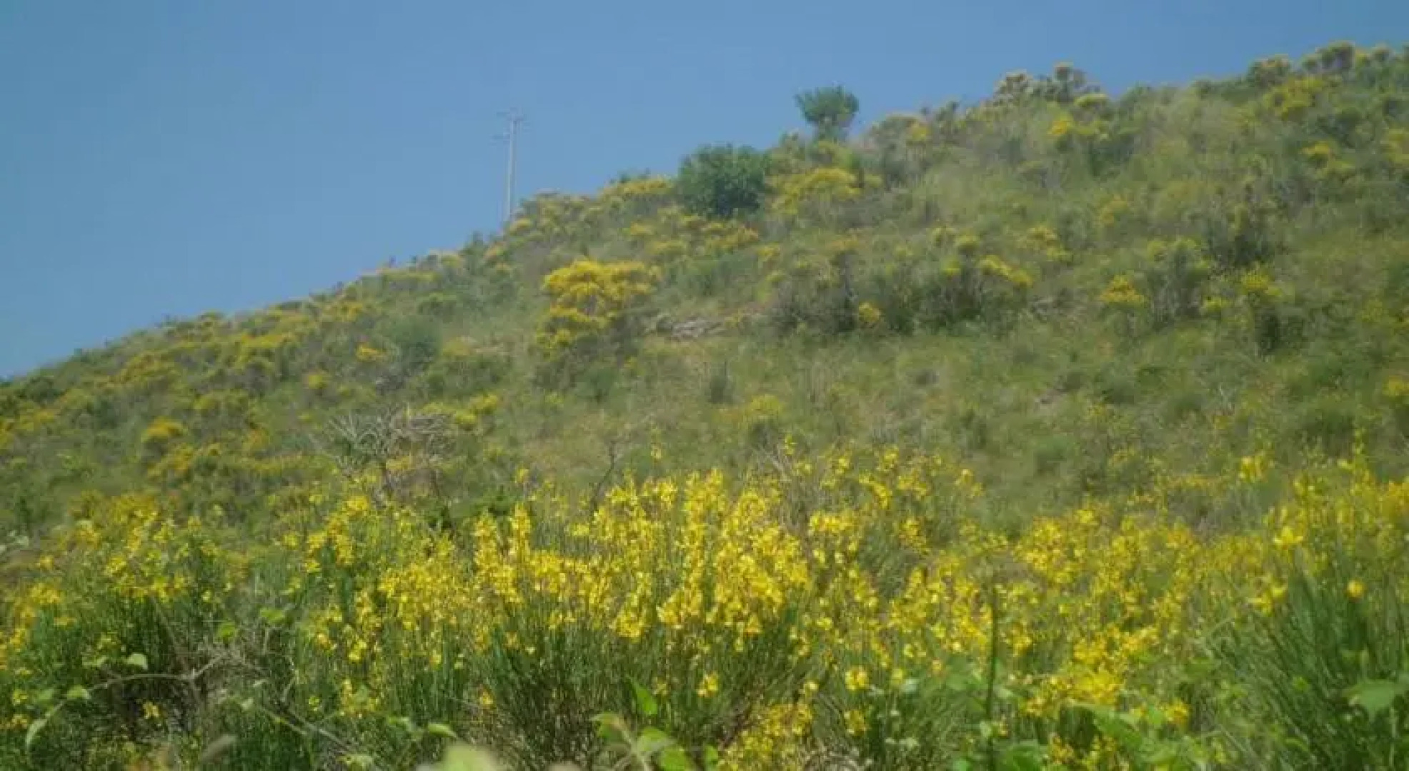 Bottega di Montegiovi
