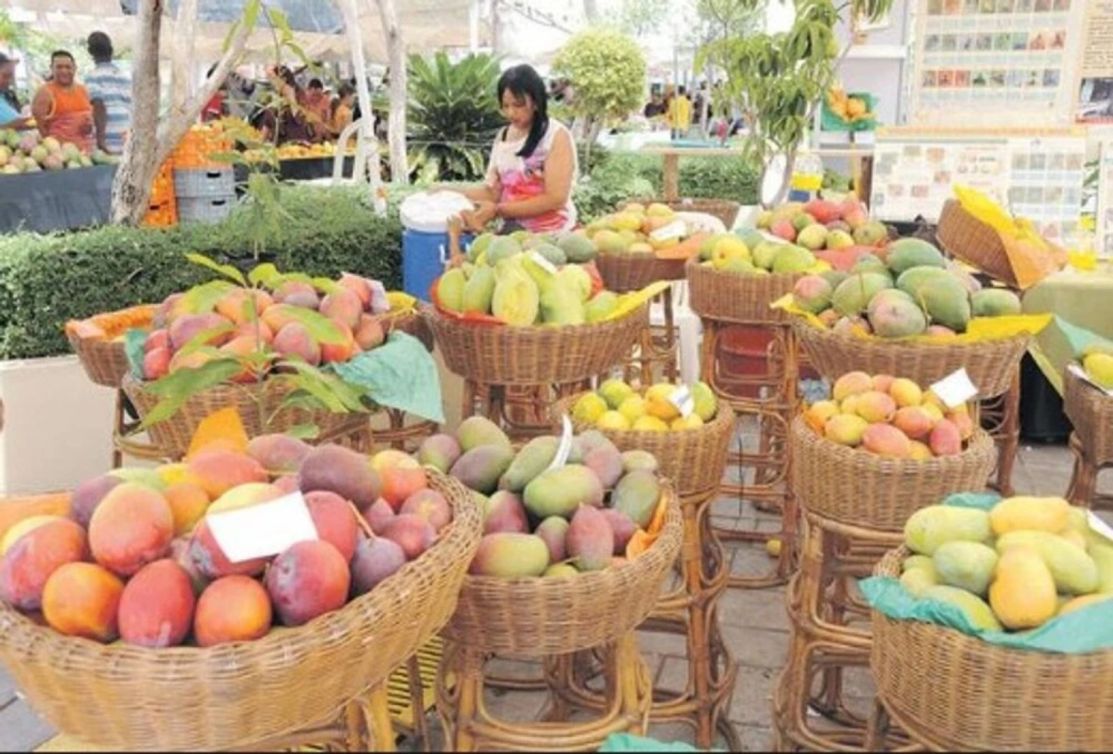 Bungalow In Tropical Garden With 2 Pools & Tennis