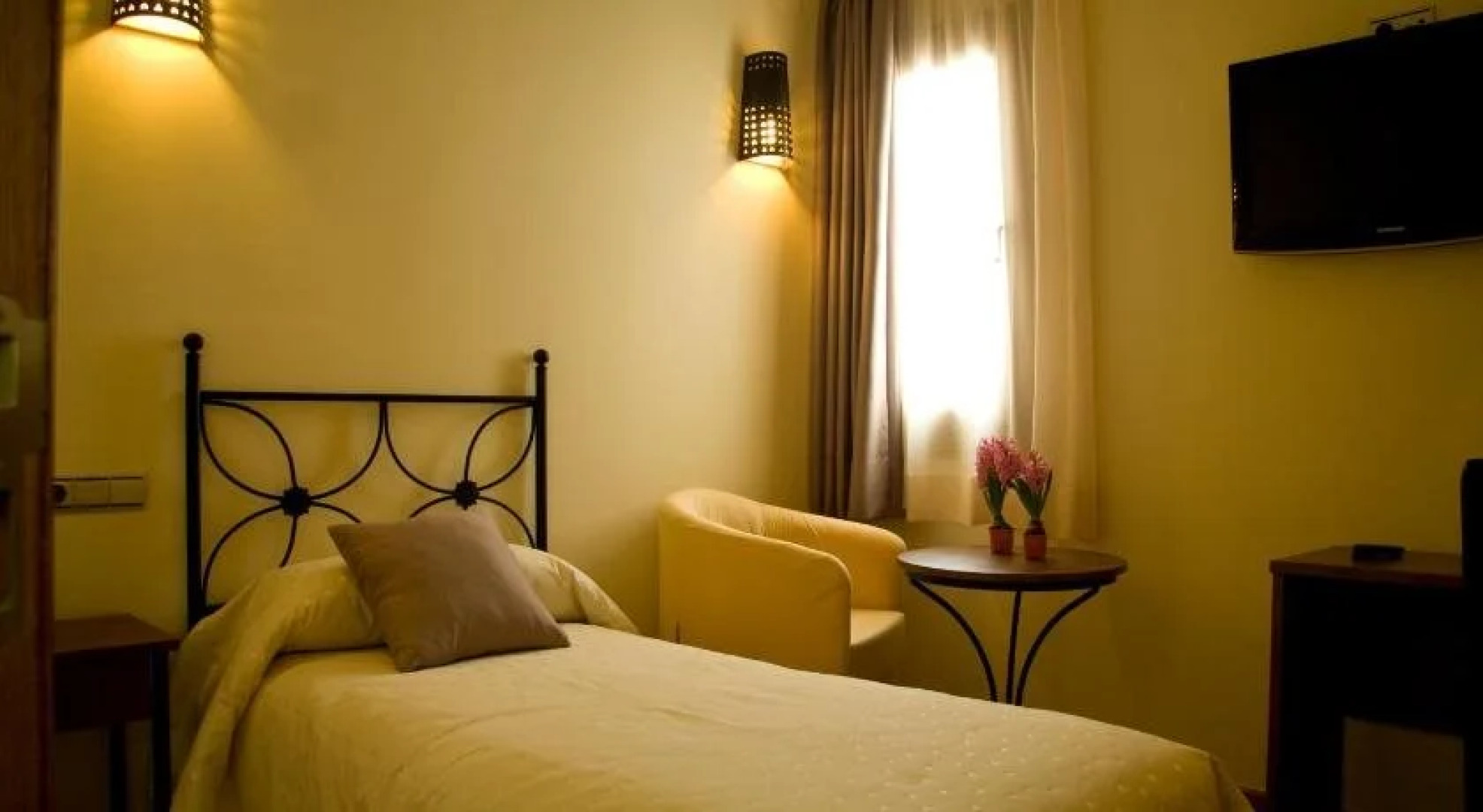 Estrella de las Nieves