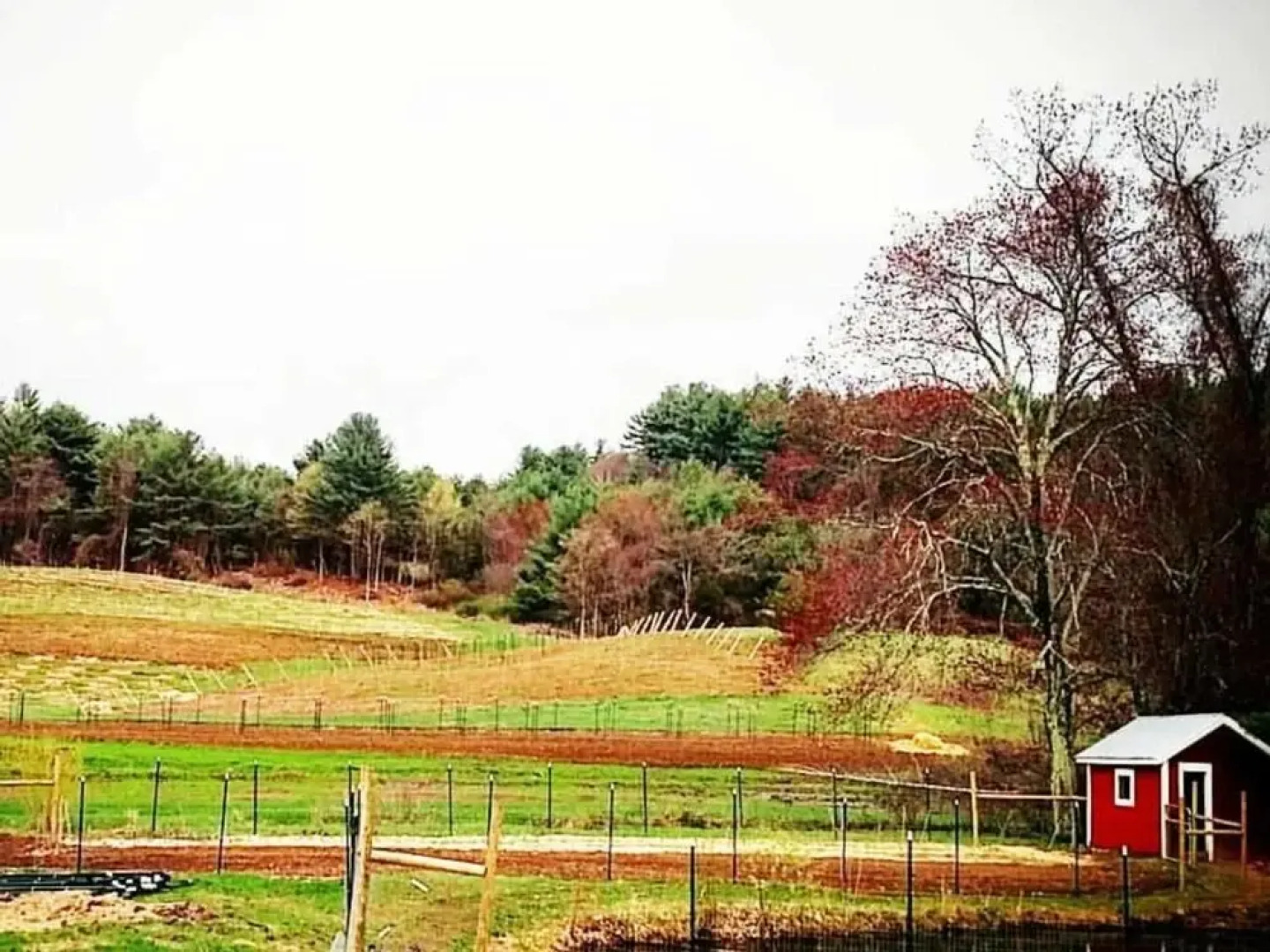 Tentrr - Black Rabbit Farm