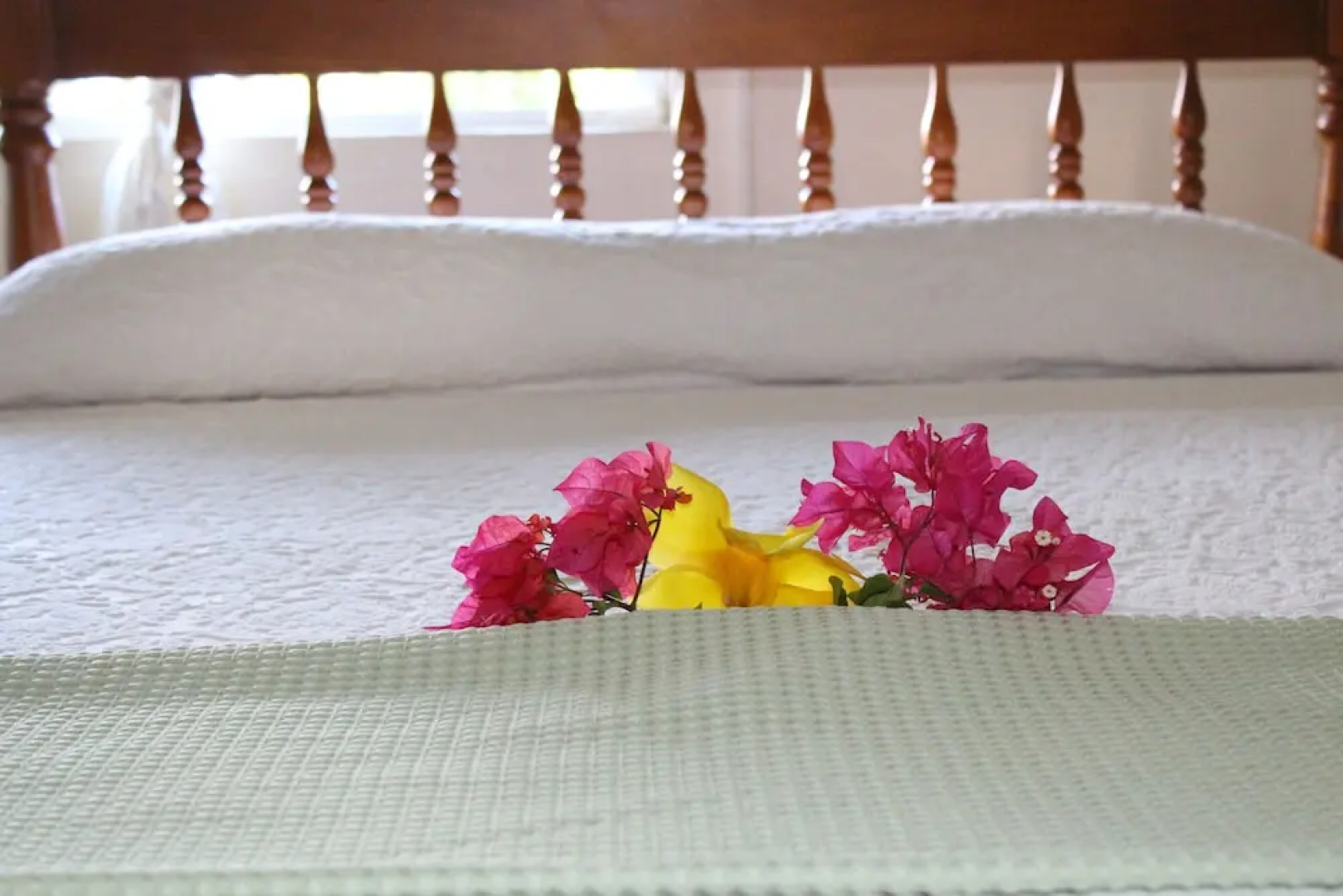 Relax Inn Grenada West Indies