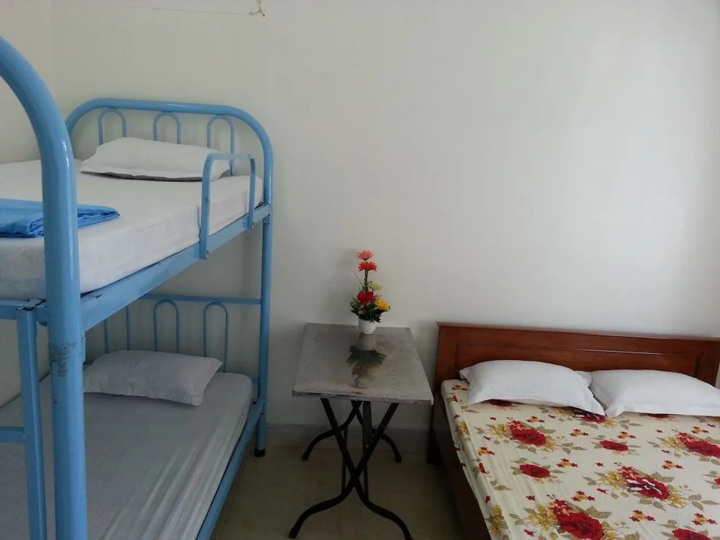 Friends Homestay - Hostel