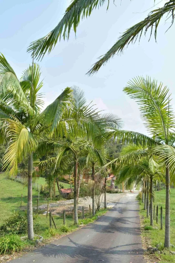 El Vergel Casa Campestre