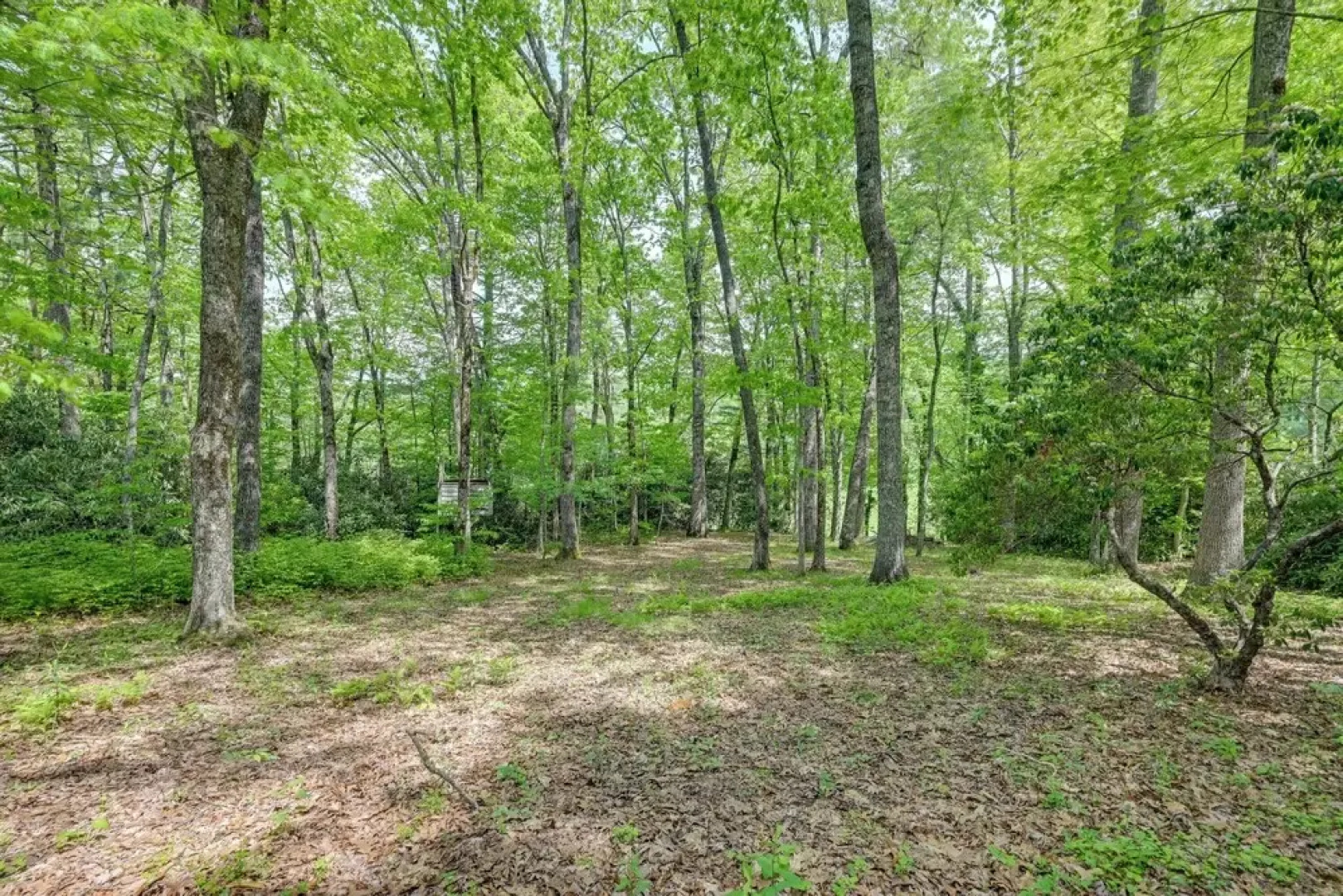 'smallwood' Cute Highlands Home w/ Screened Porch!