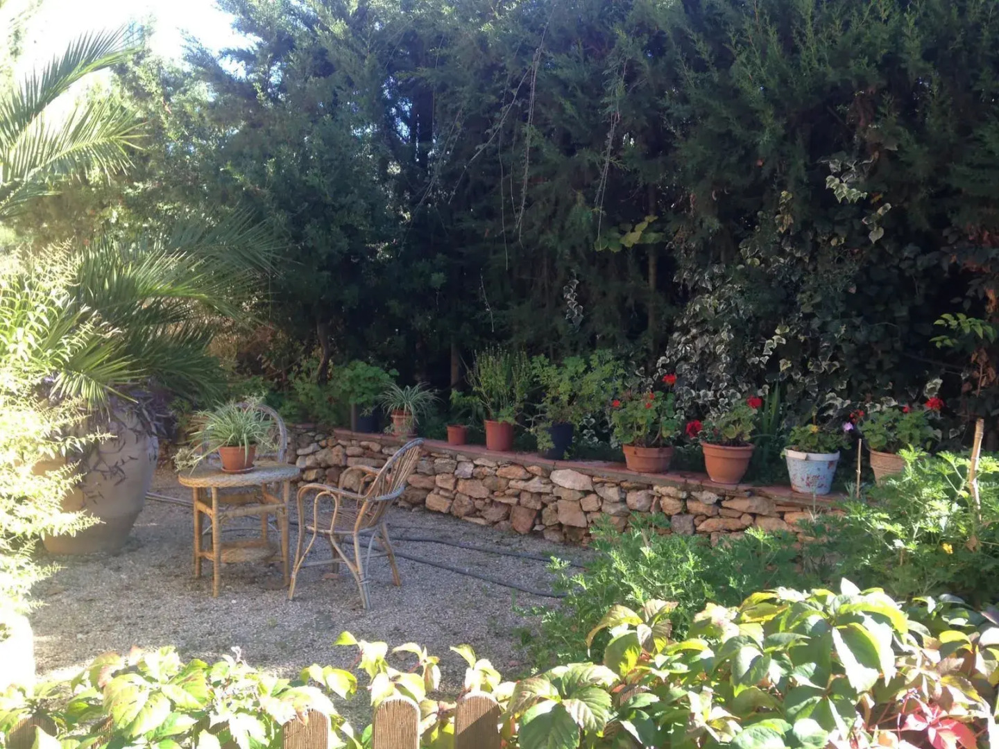 Hostal Braseria Missamaroi