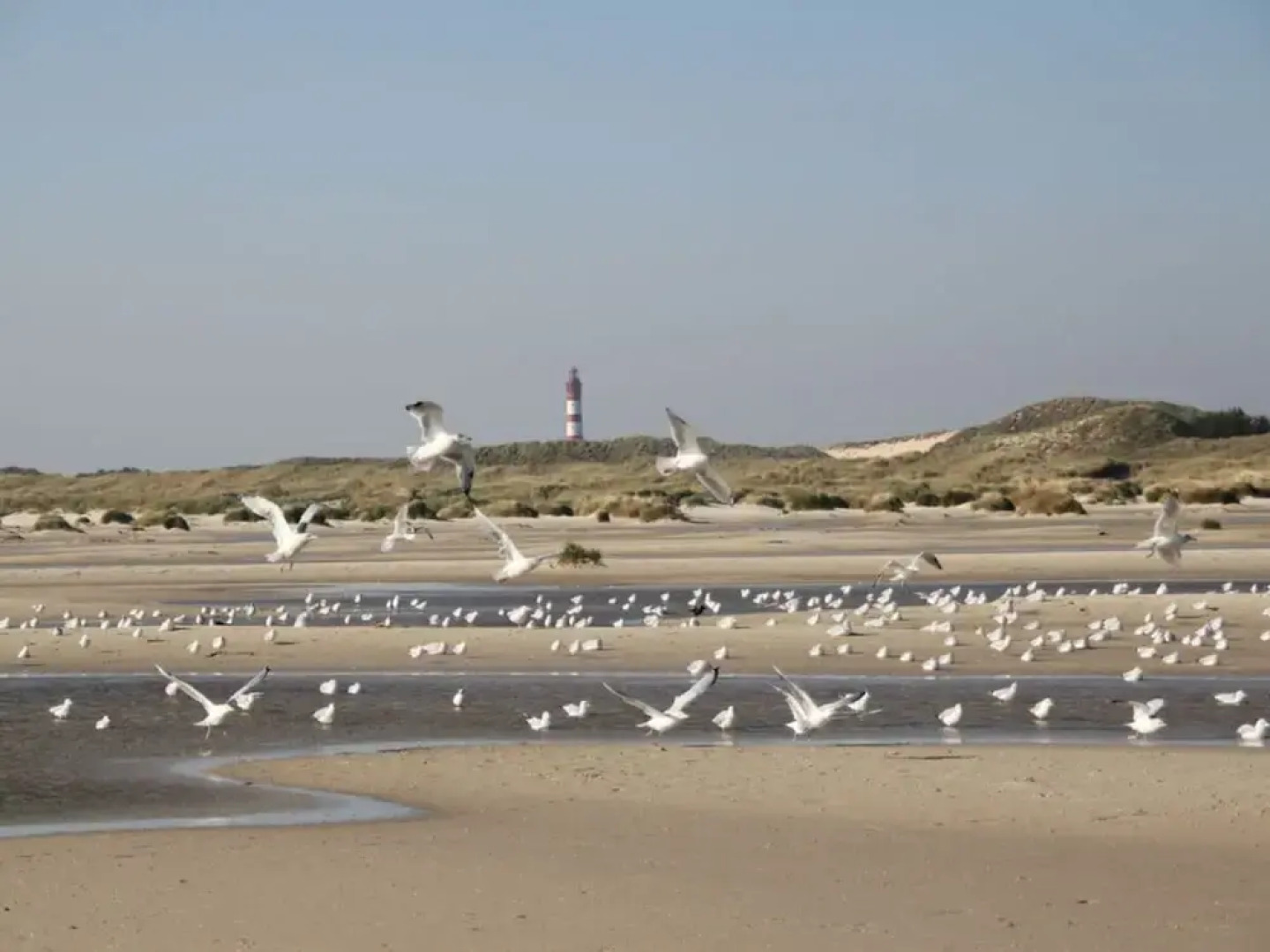 Cozy Apartment on the Canal