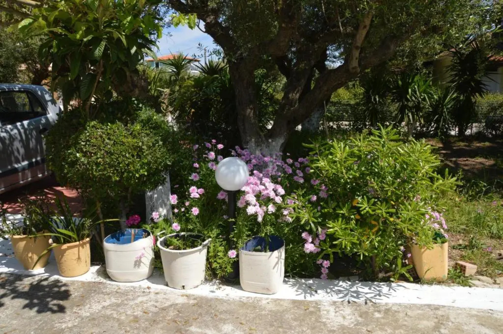 Anemona Apartment Ground Floor