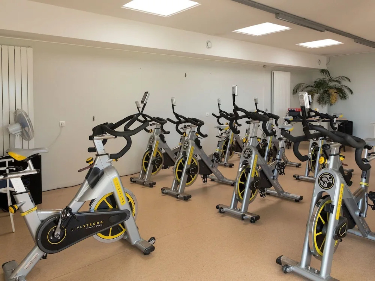 Nicely maintained apartment near the historic Aigues-Mortes