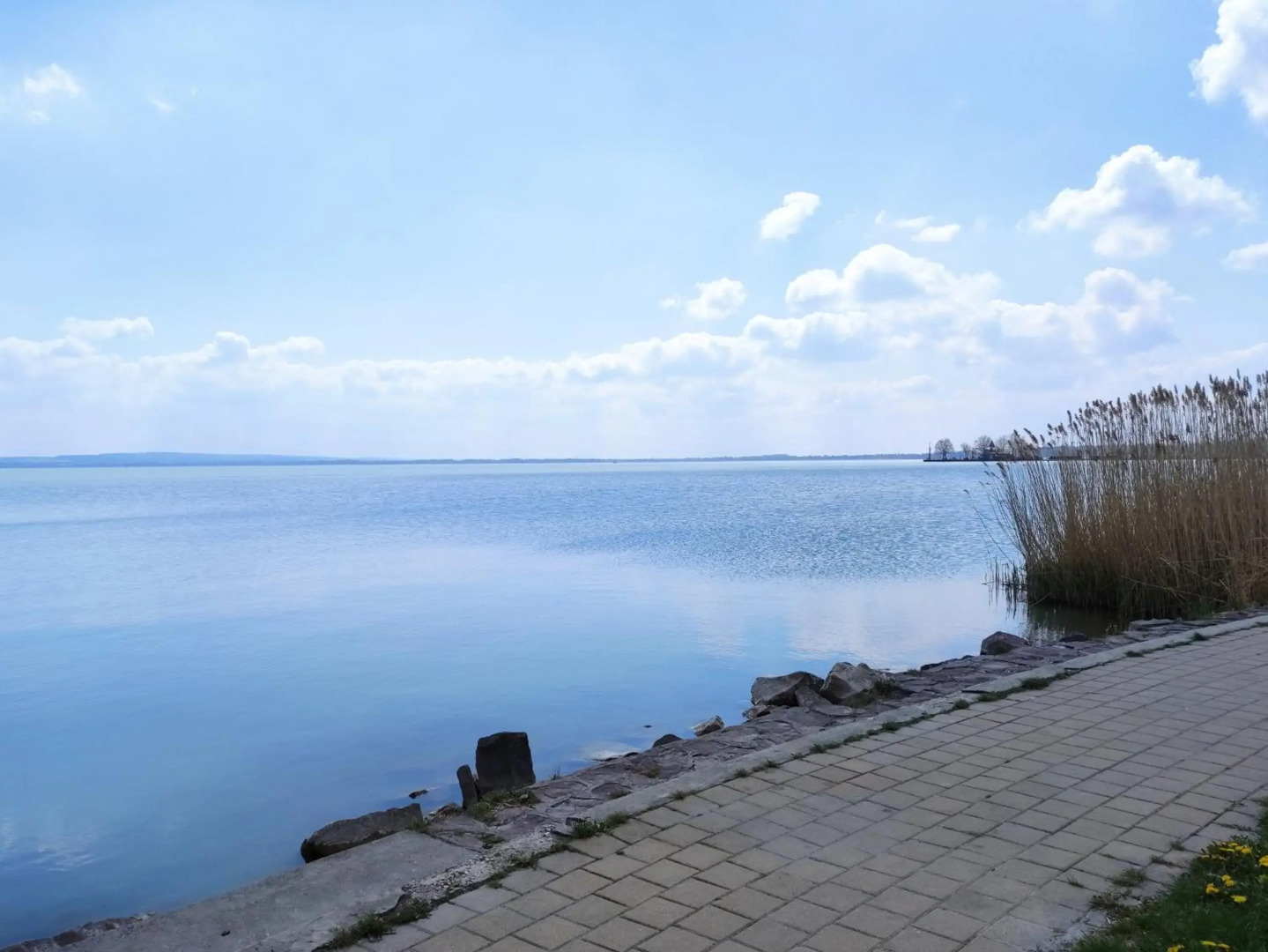 Royal Relax Apartman