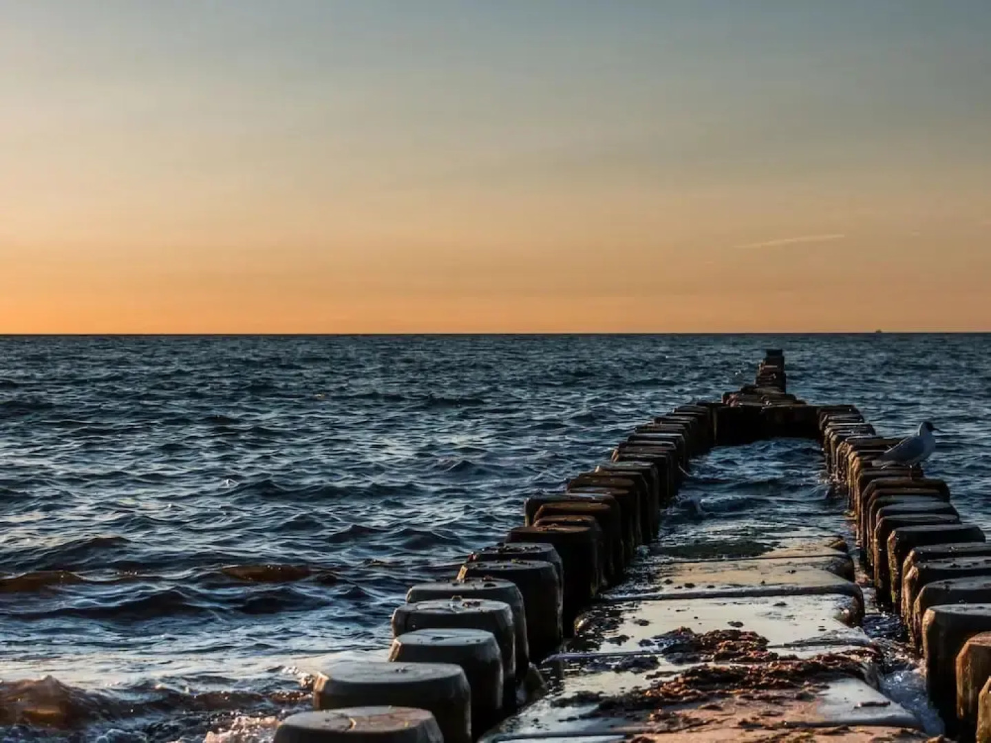 Seahorse Modern Retreat