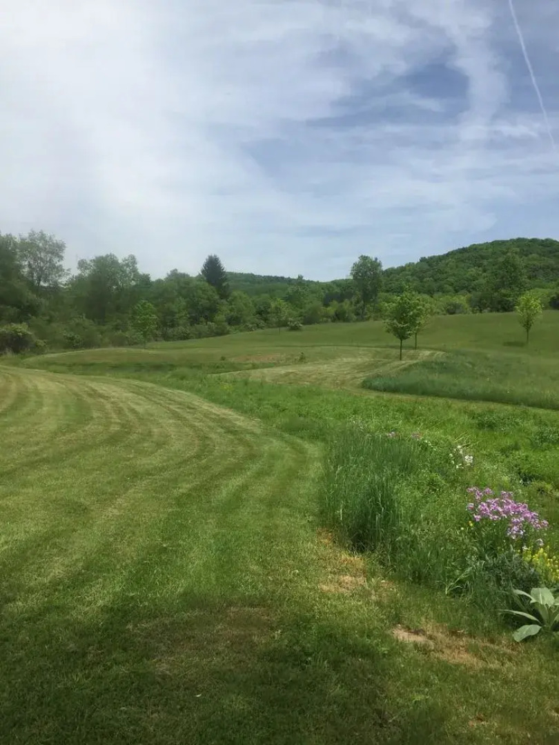 Major League Motor Inn